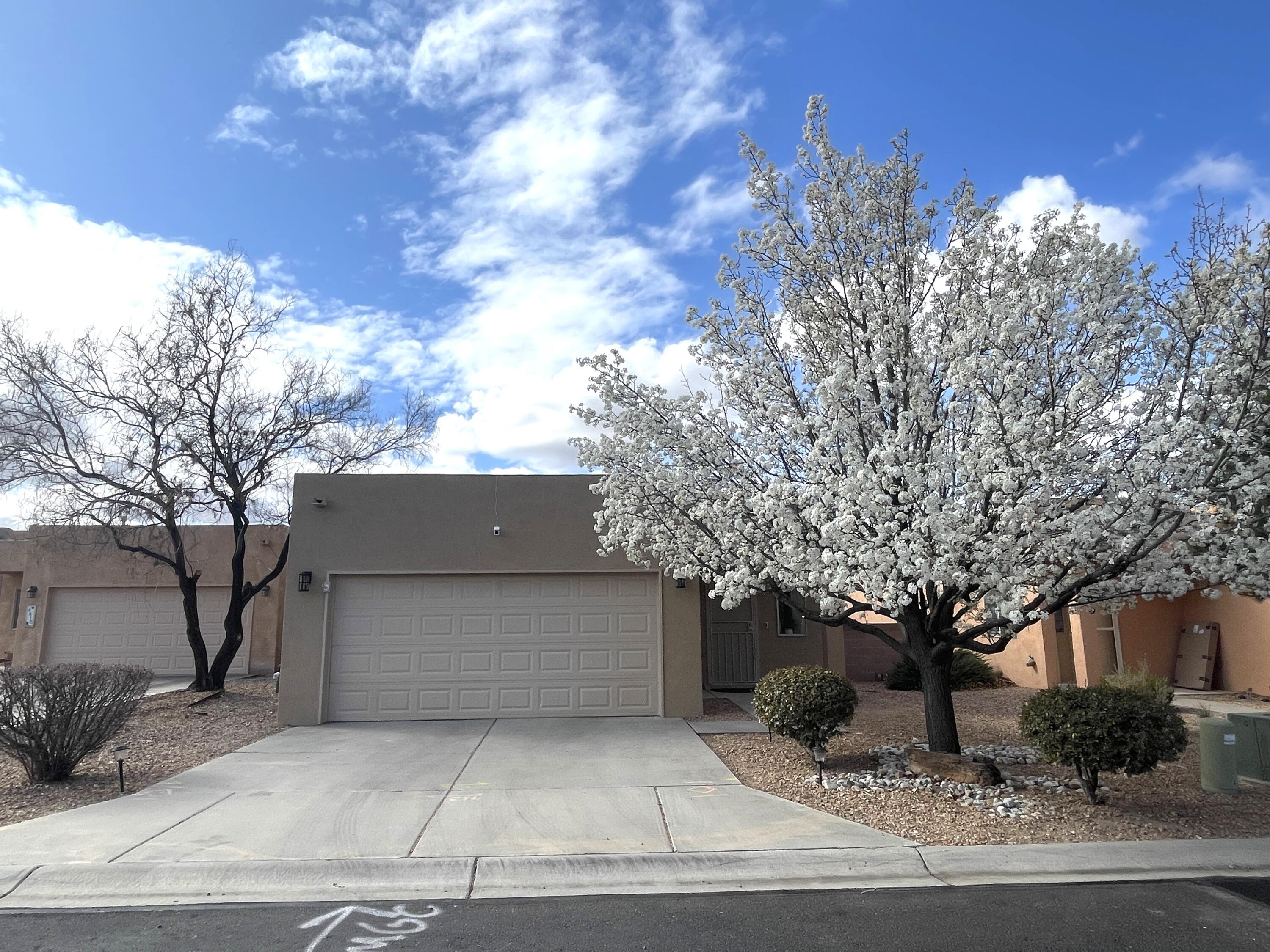 4412 DESERT CHICORY Court SE