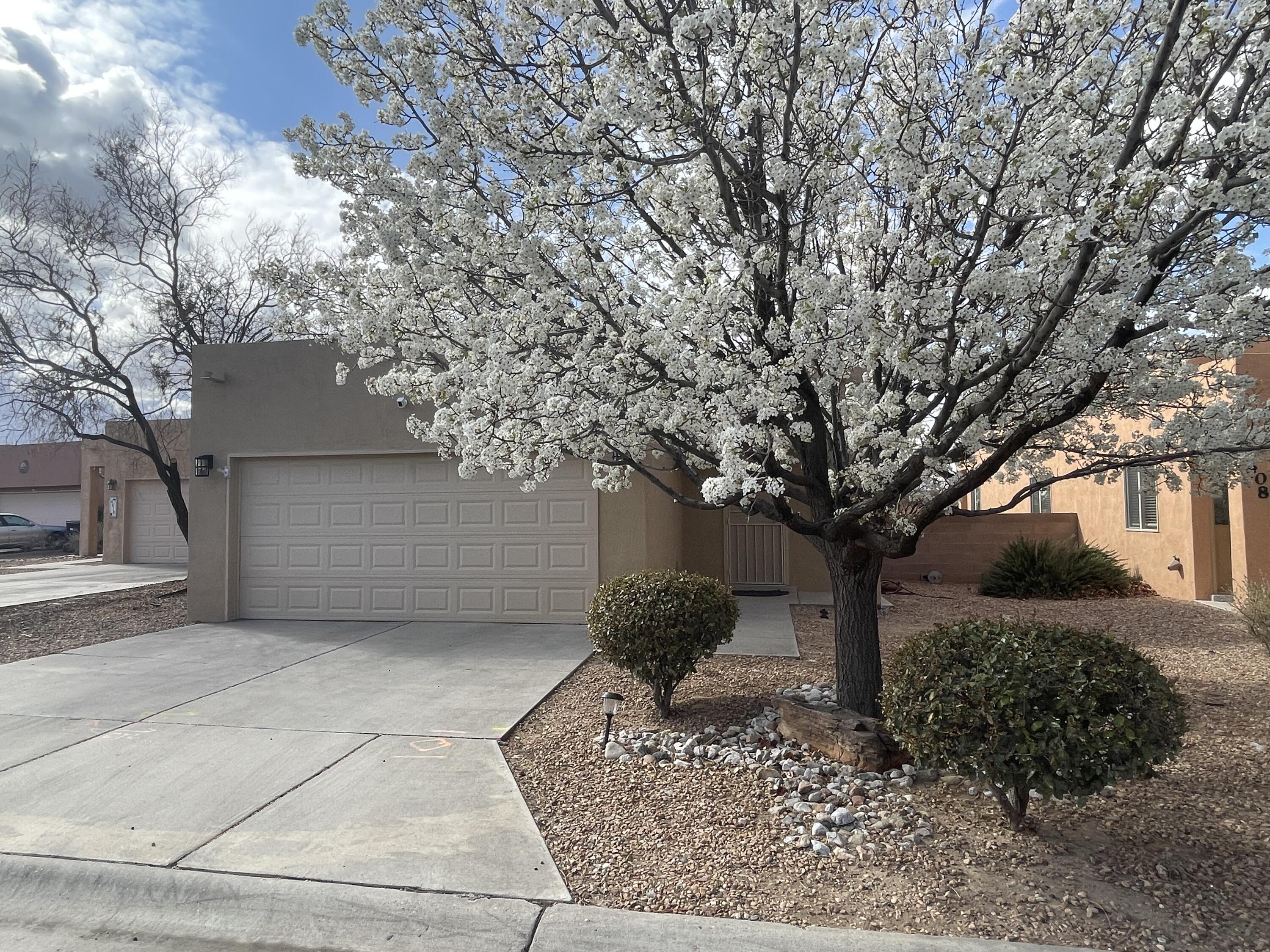 4412 DESERT CHICORY Court SE