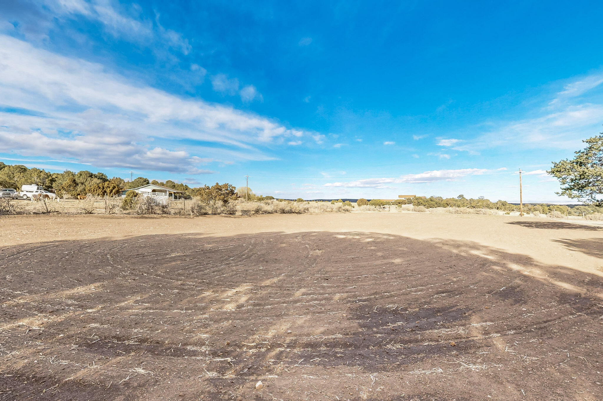 119 STEEPLECHASE Drive