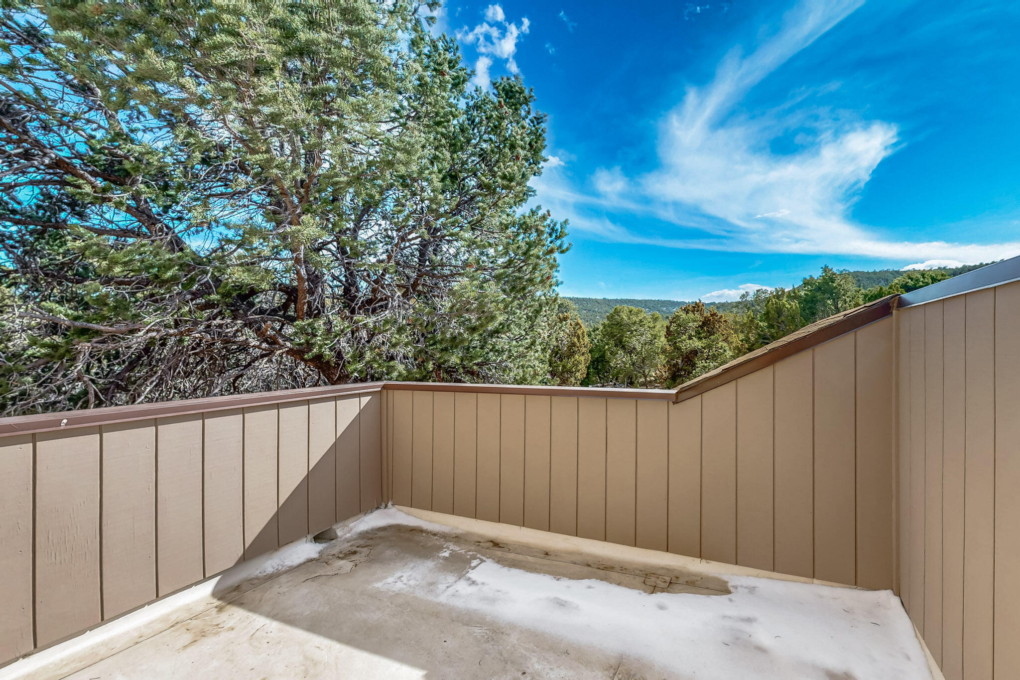 119 STEEPLECHASE Drive