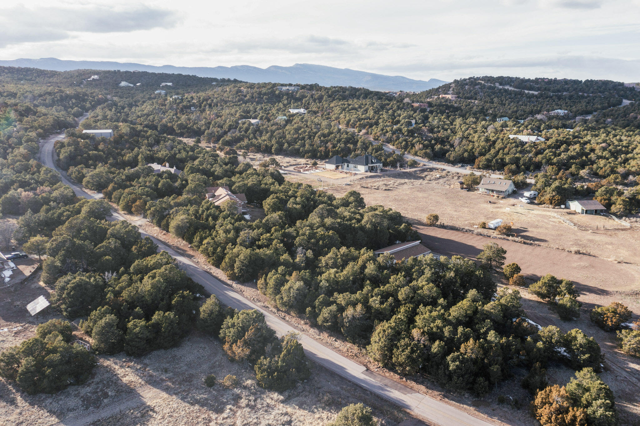 119 STEEPLECHASE Drive