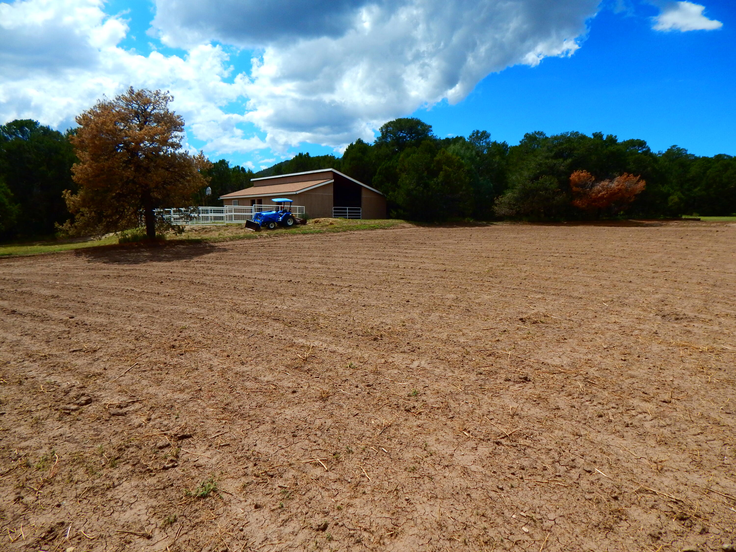 119 STEEPLECHASE Drive