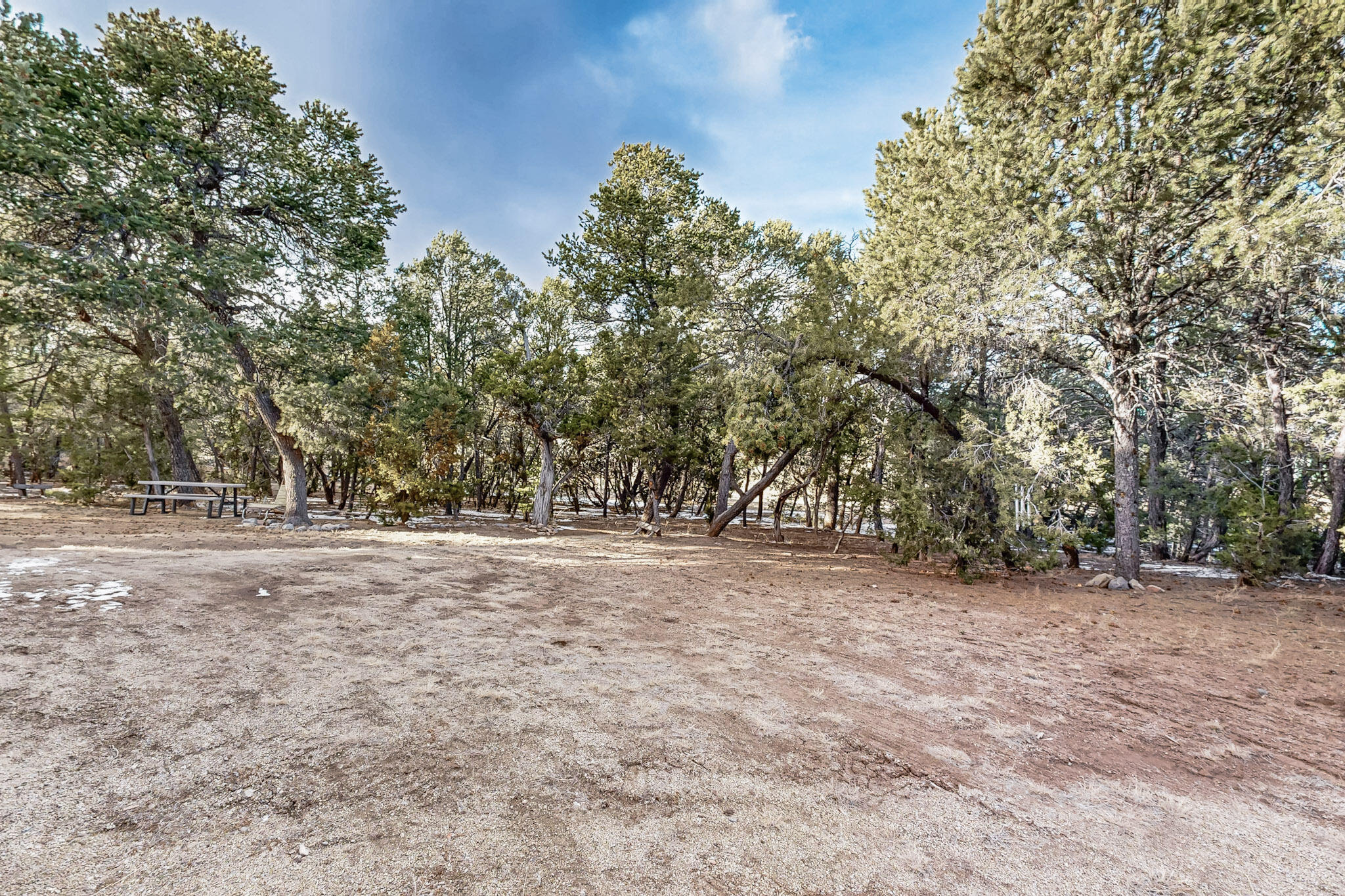 119 STEEPLECHASE Drive