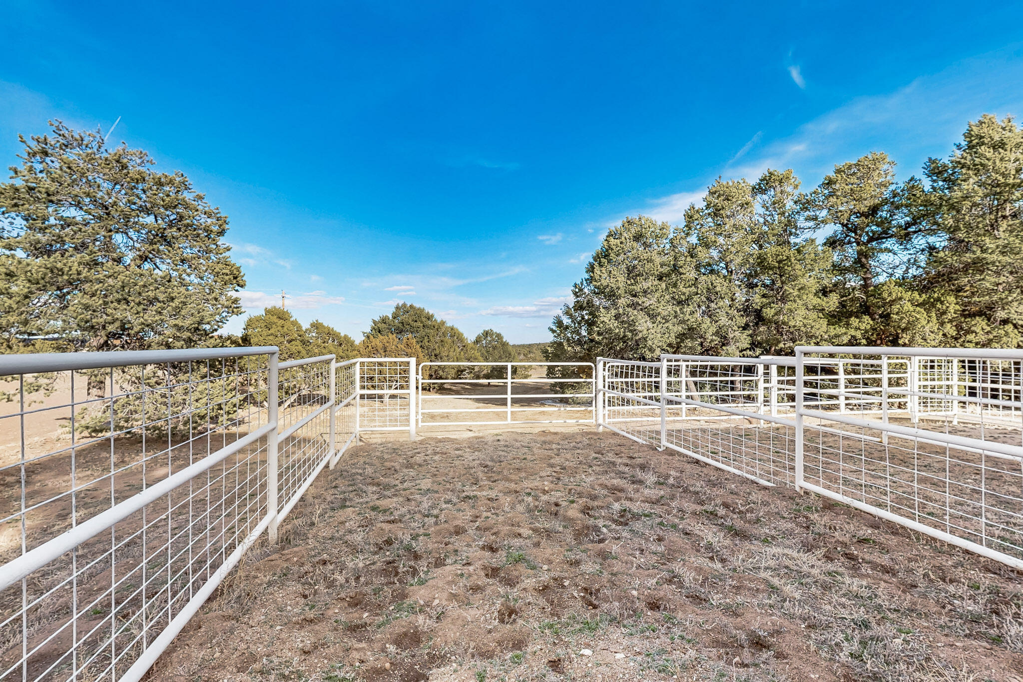 119 STEEPLECHASE Drive