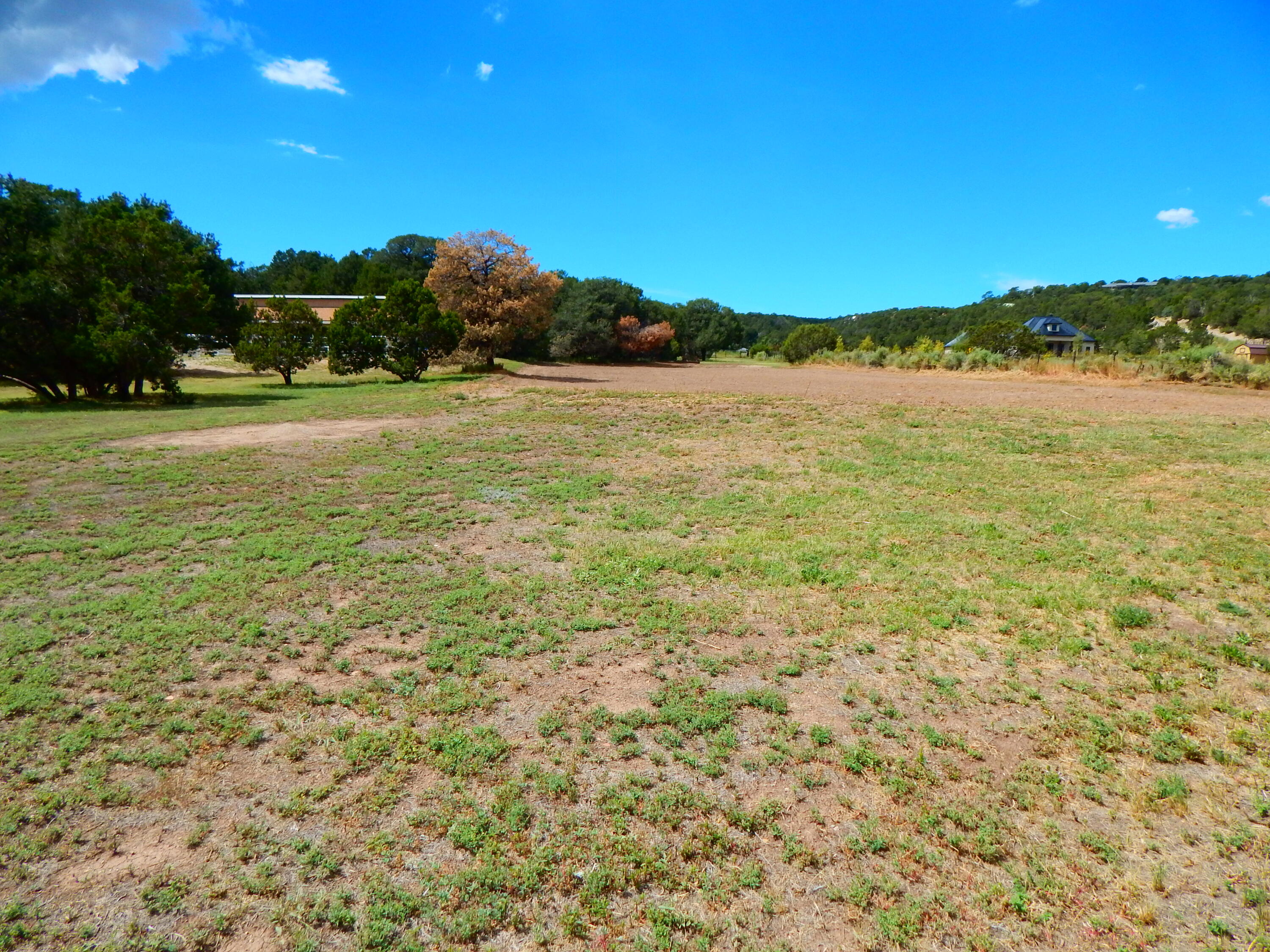 119 STEEPLECHASE Drive