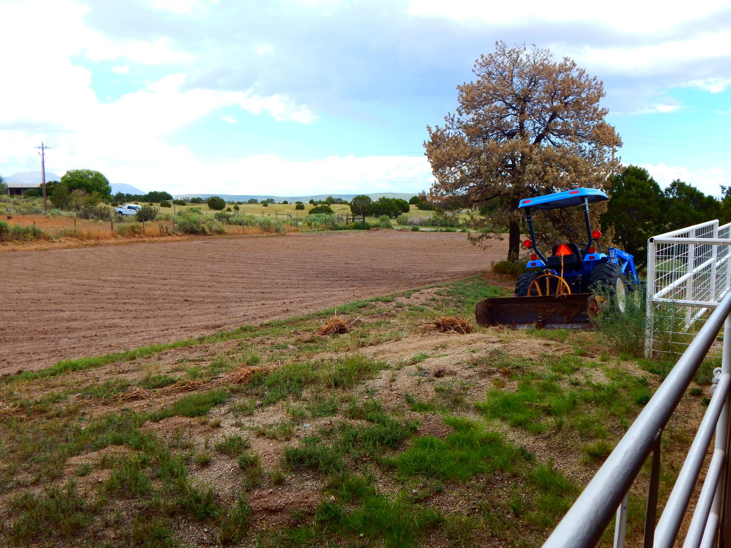 119 STEEPLECHASE Drive