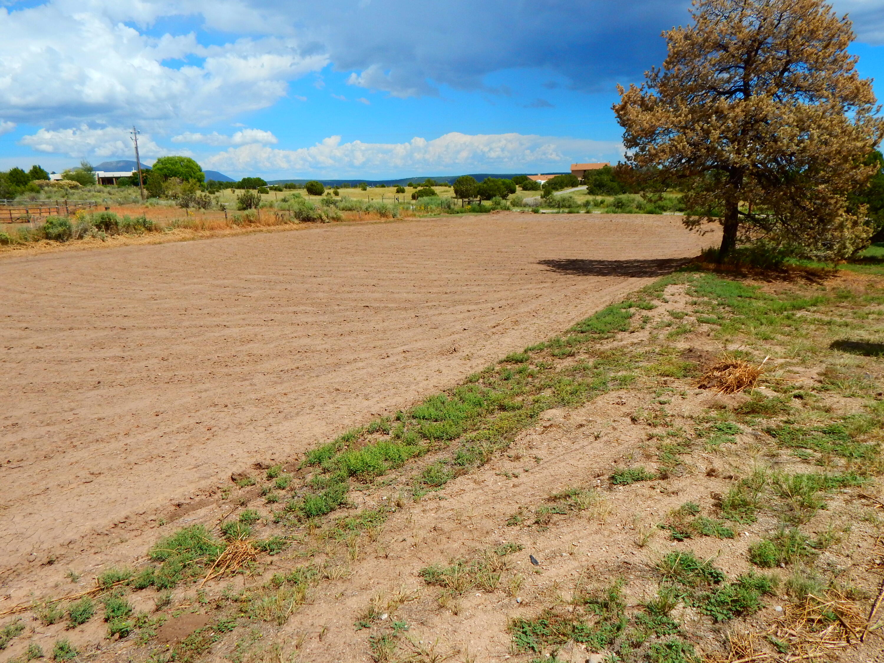 119 STEEPLECHASE Drive