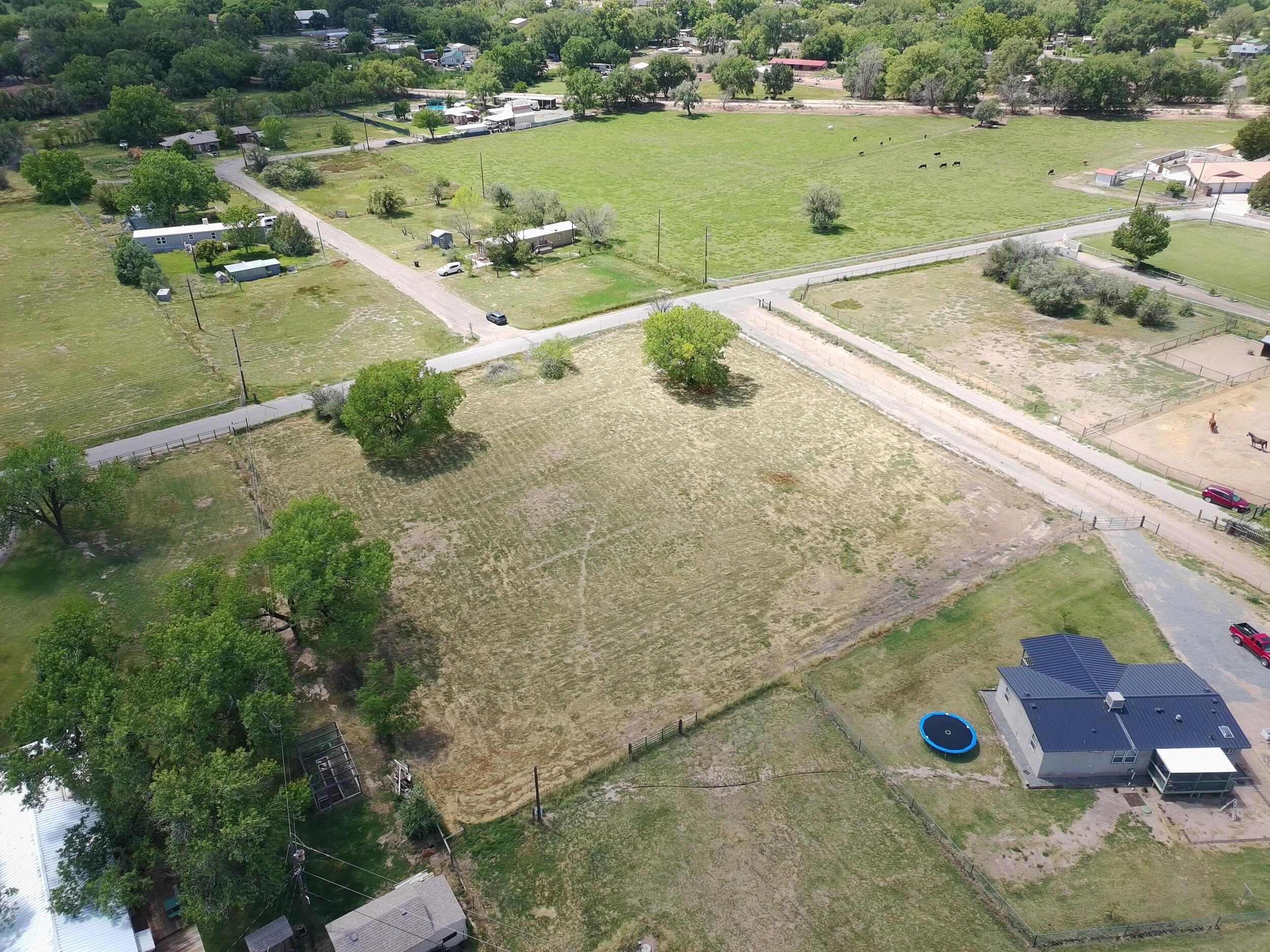59 SUNFLOWER Lane