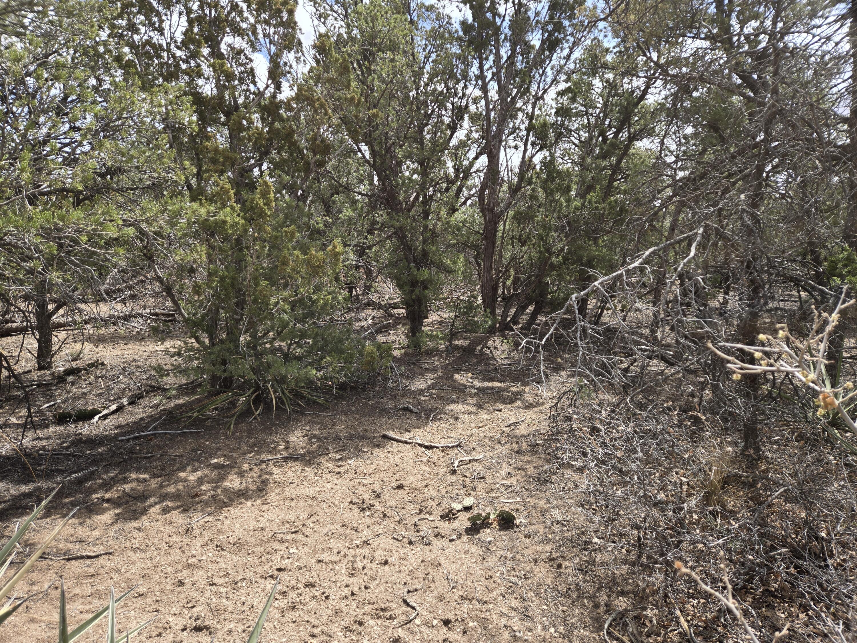 0 Bedrock Lane