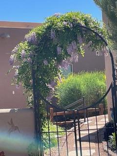 816 Avenida los Suenos