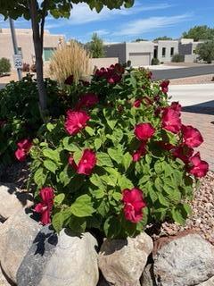 816 Avenida los Suenos