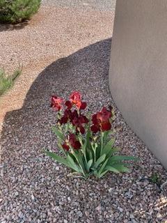 816 Avenida los Suenos