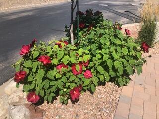 816 Avenida los Suenos