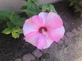 816 Avenida los Suenos