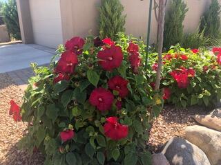 816 Avenida los Suenos