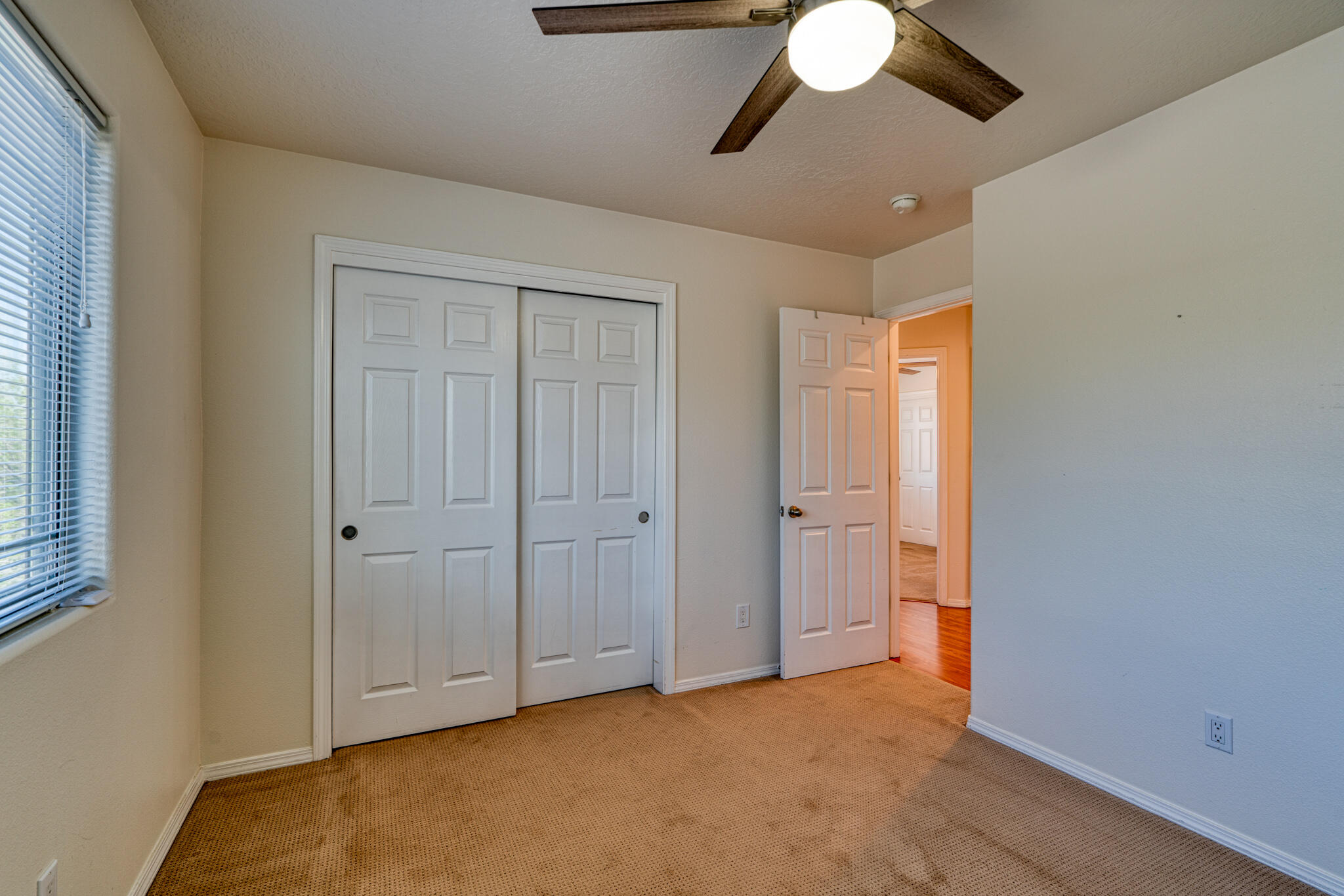313 CALLE EVANGELINE