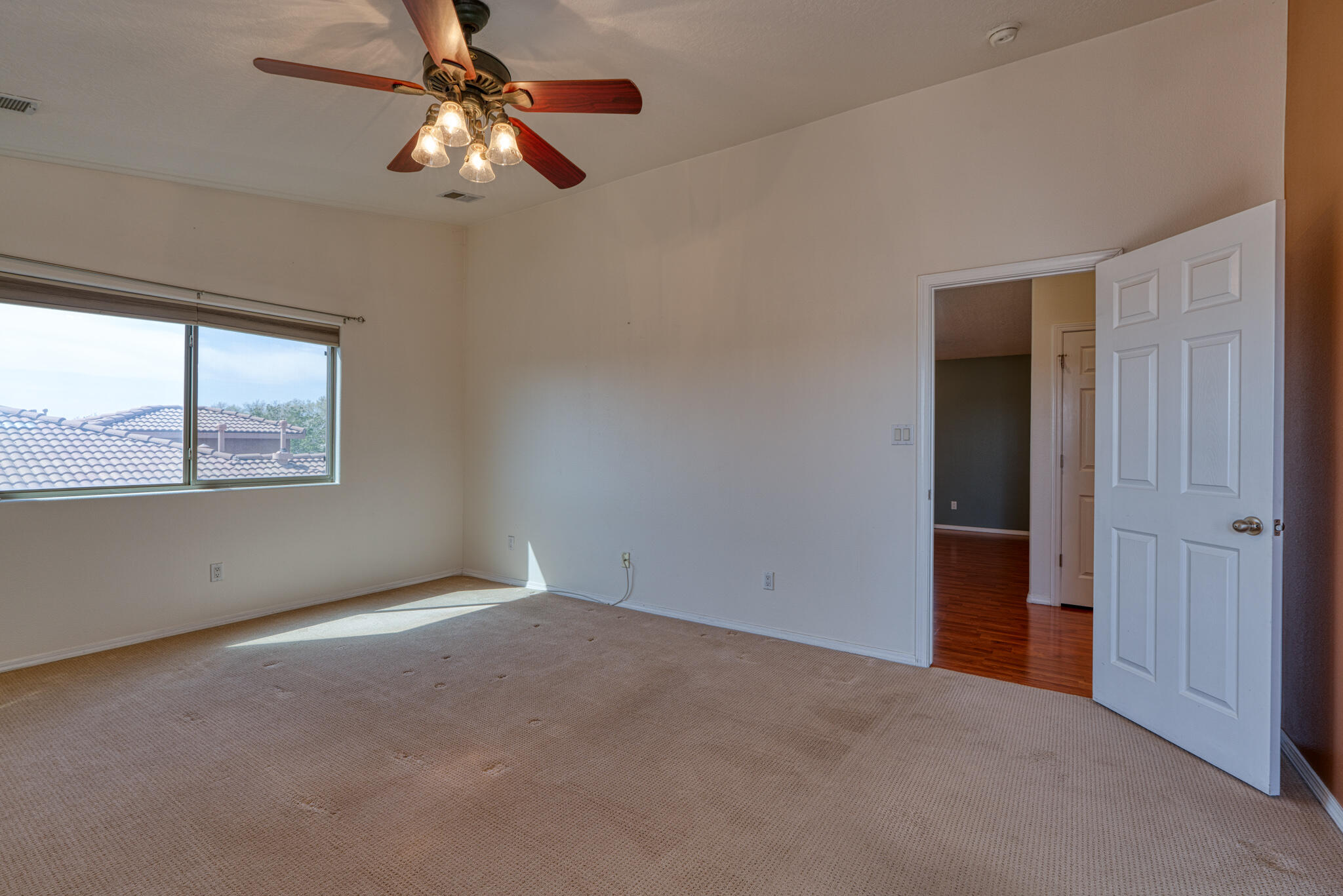 313 CALLE EVANGELINE
