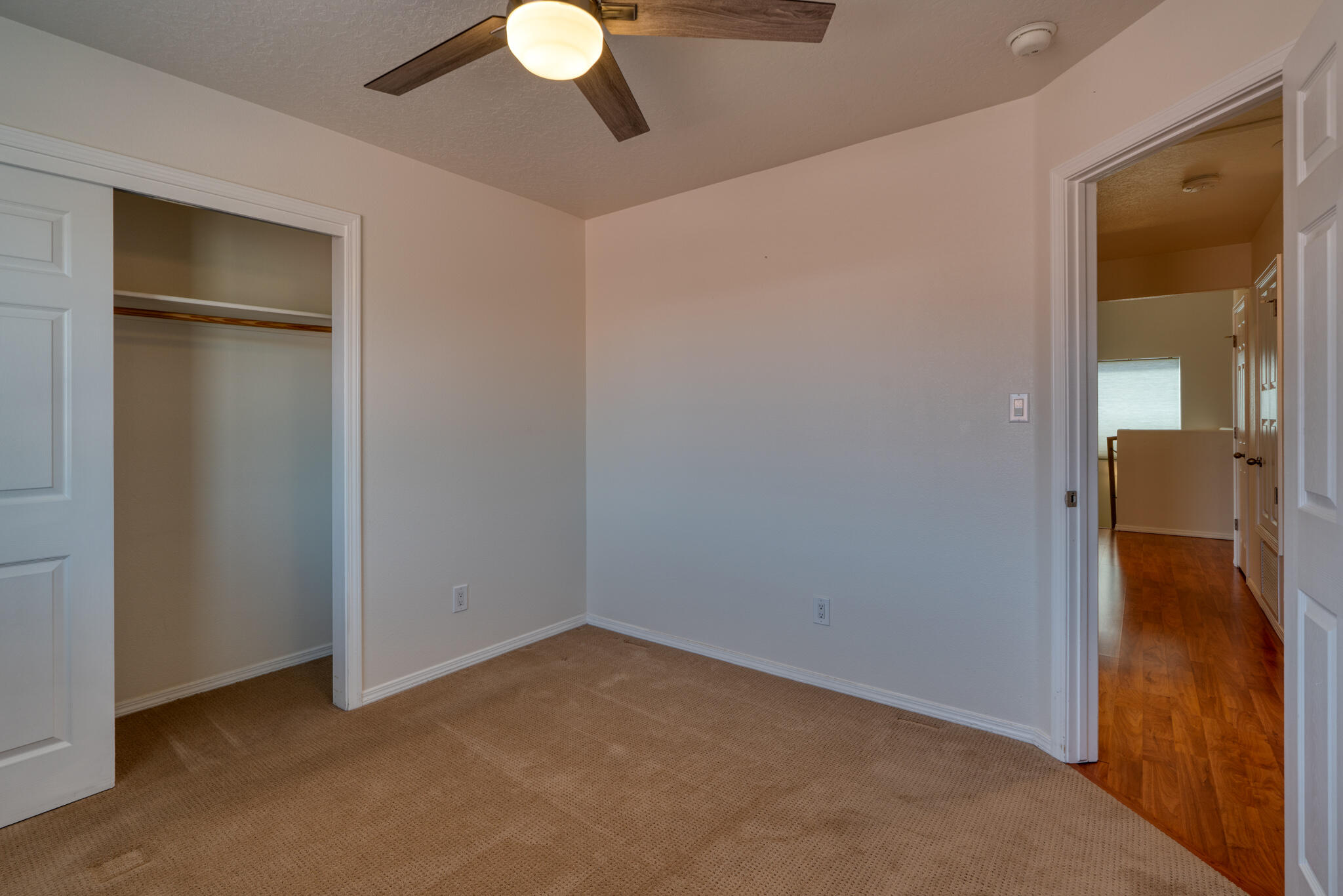 313 CALLE EVANGELINE