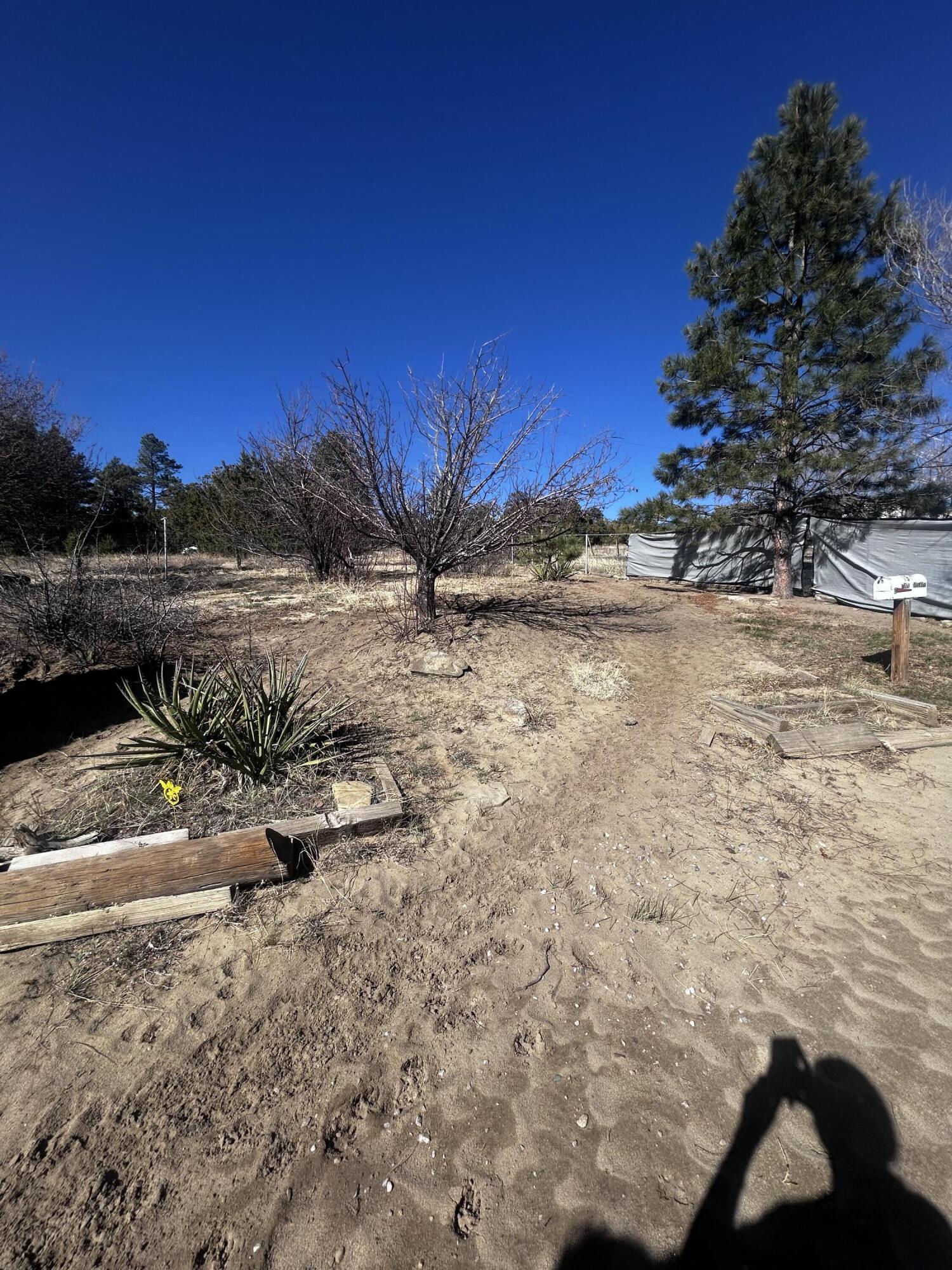19 Pine Avenue