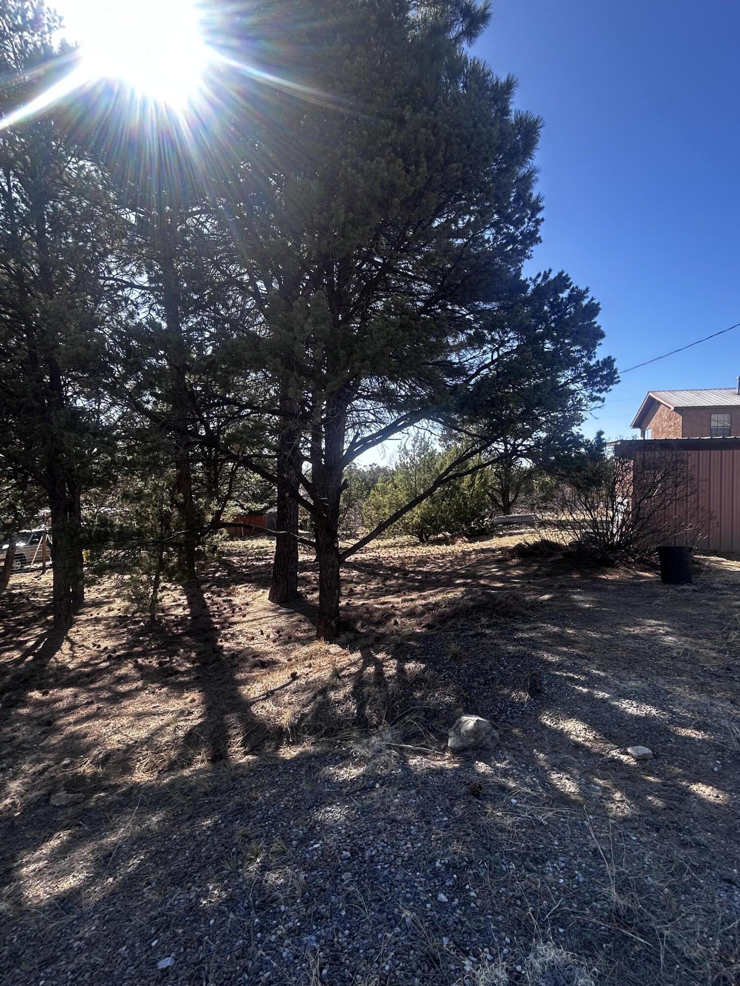 19 Pine Avenue