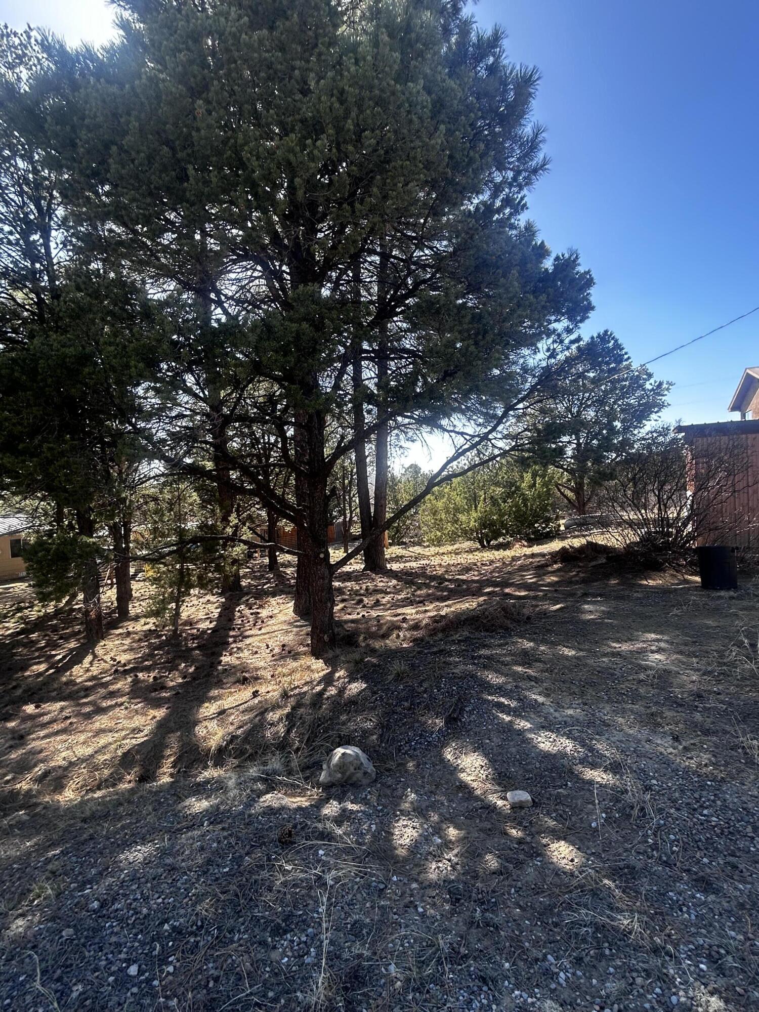19 Pine Avenue
