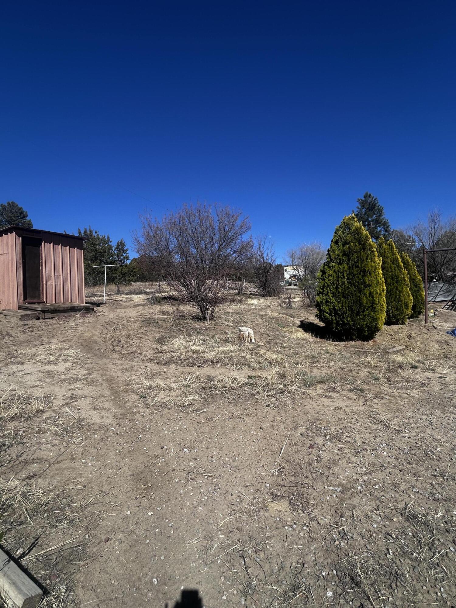 19 Pine Avenue
