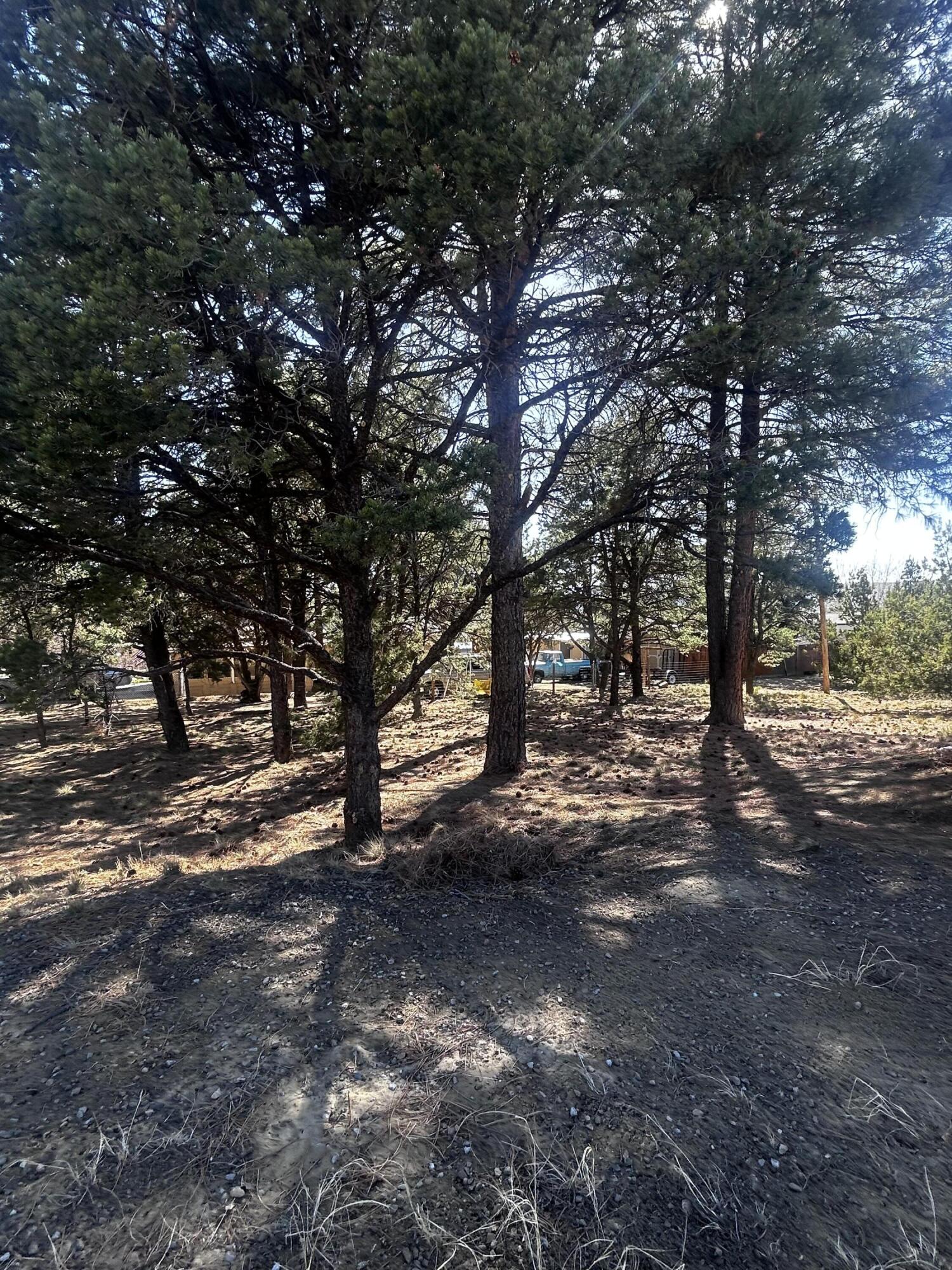 19 Pine Avenue