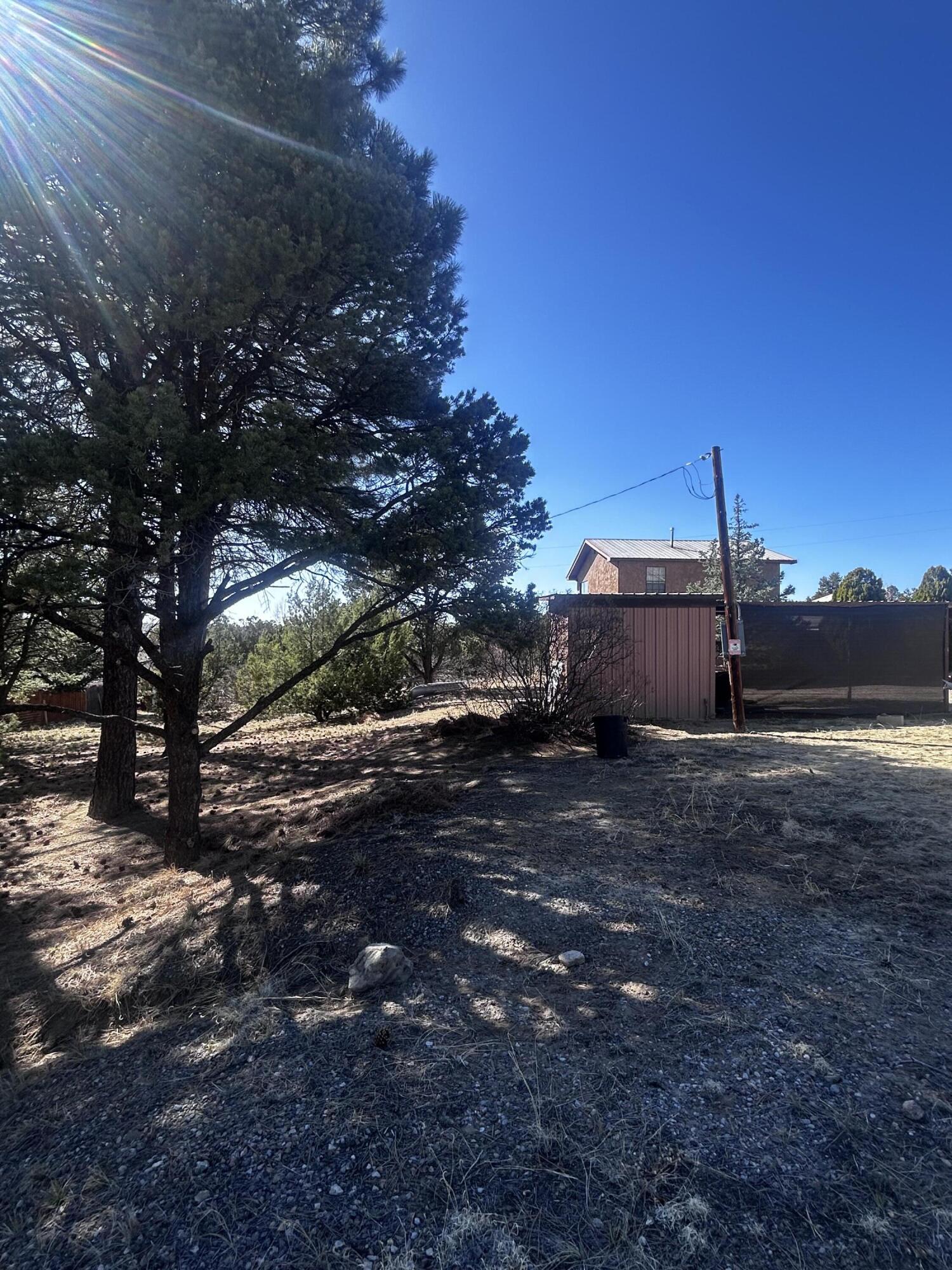 19 Pine Avenue