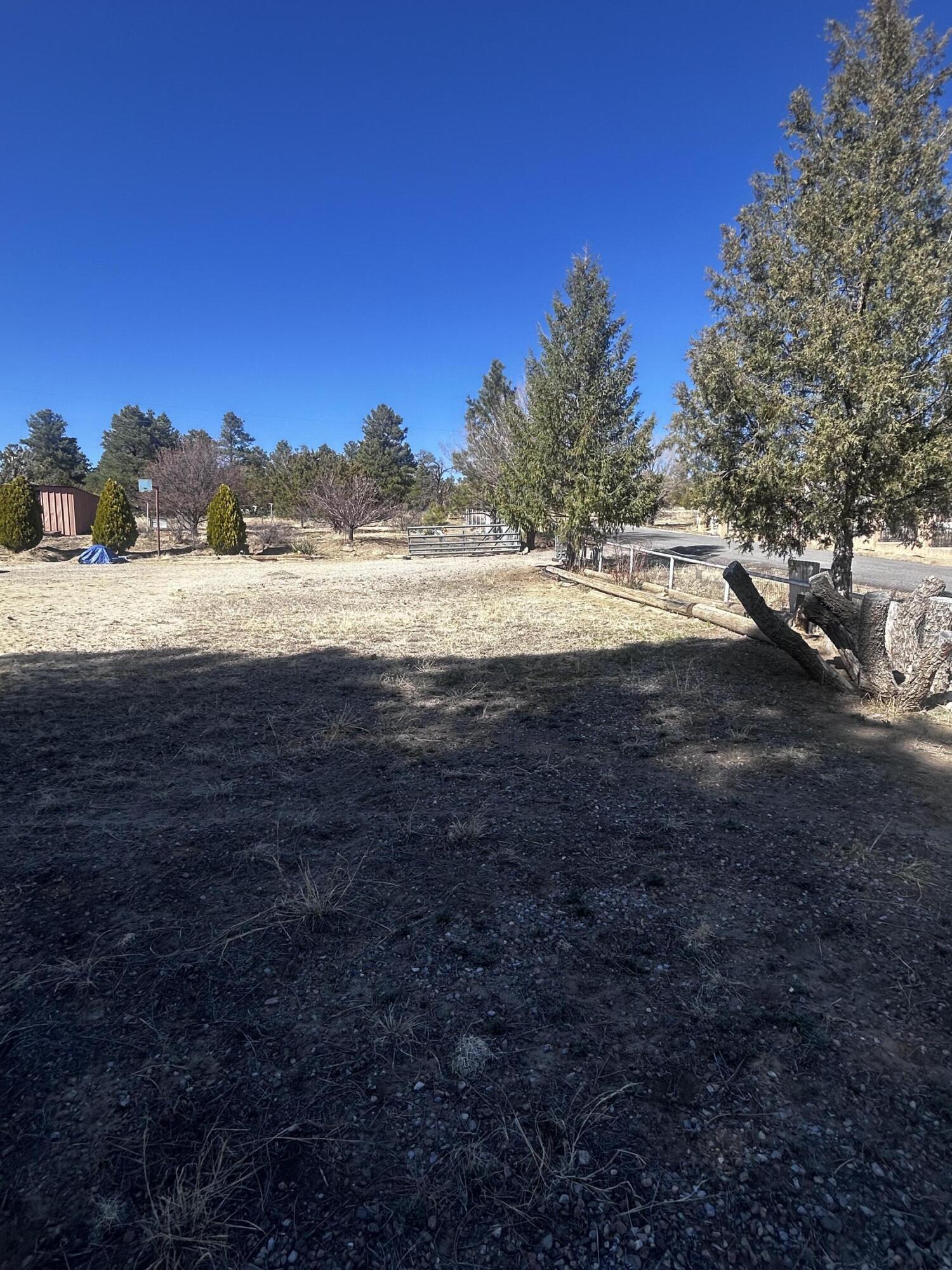 19 Pine Avenue