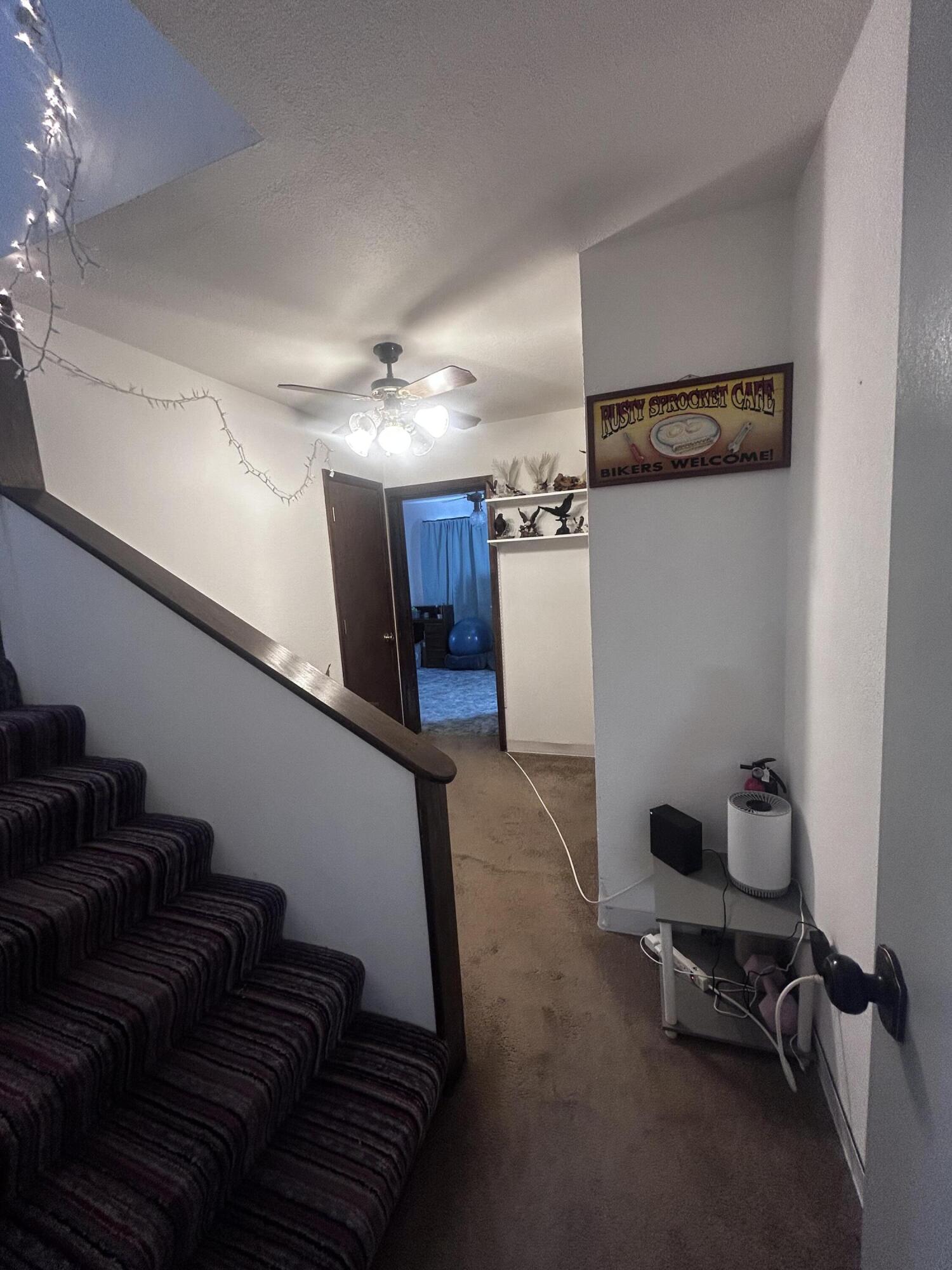 19 Pine Avenue
