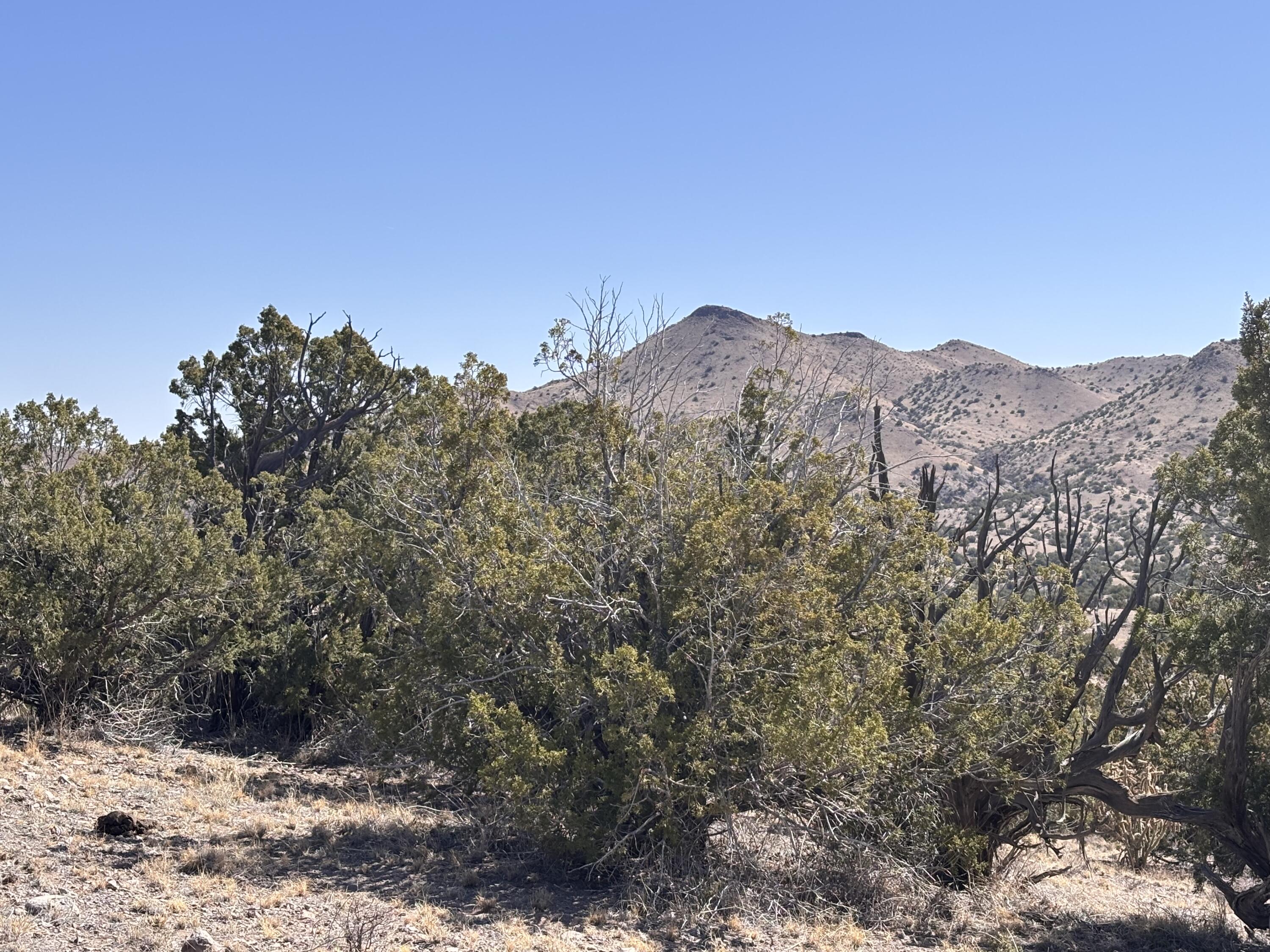 Lot 126 Abbe Springs