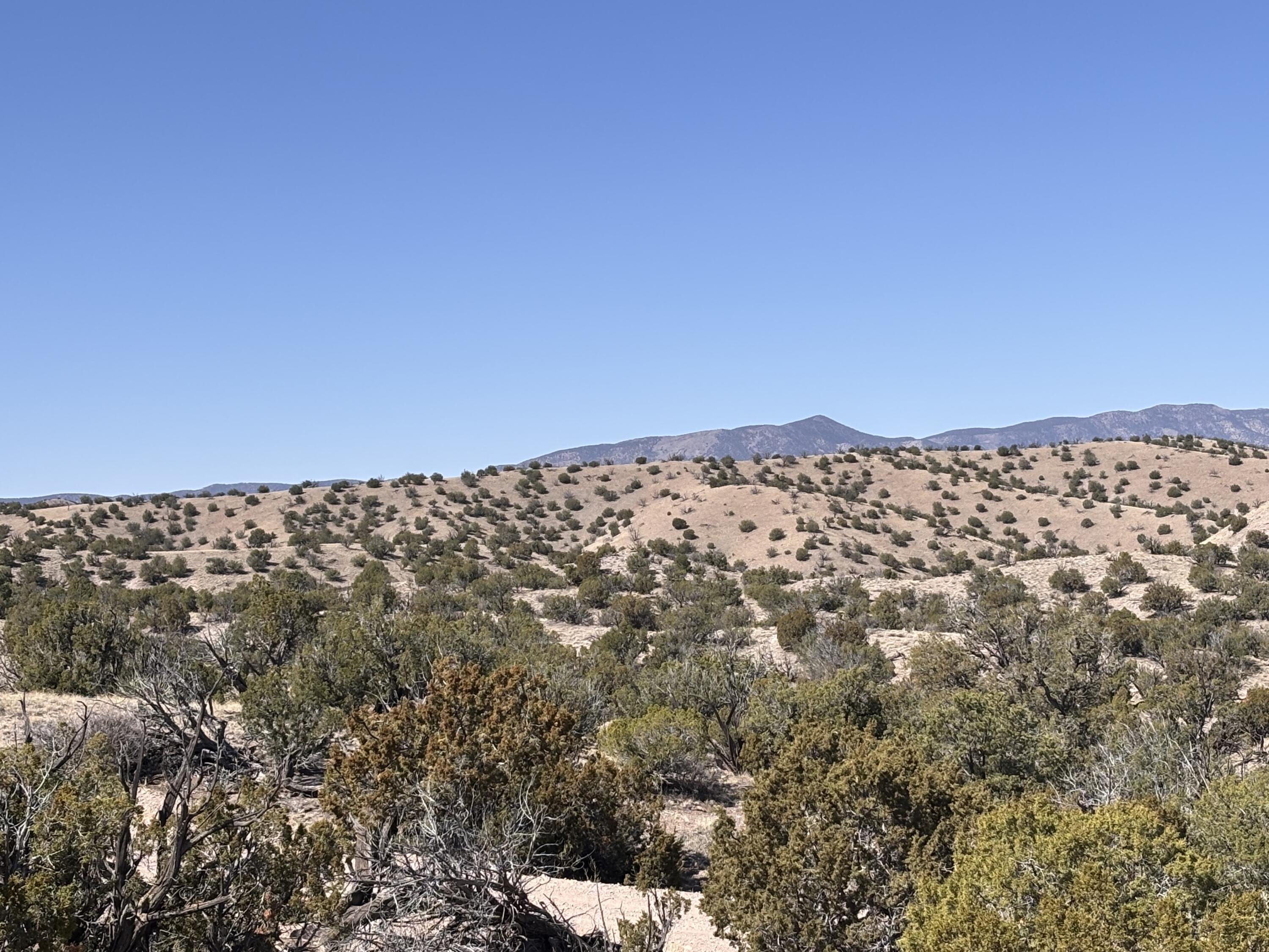 Lot 126 Abbe Springs