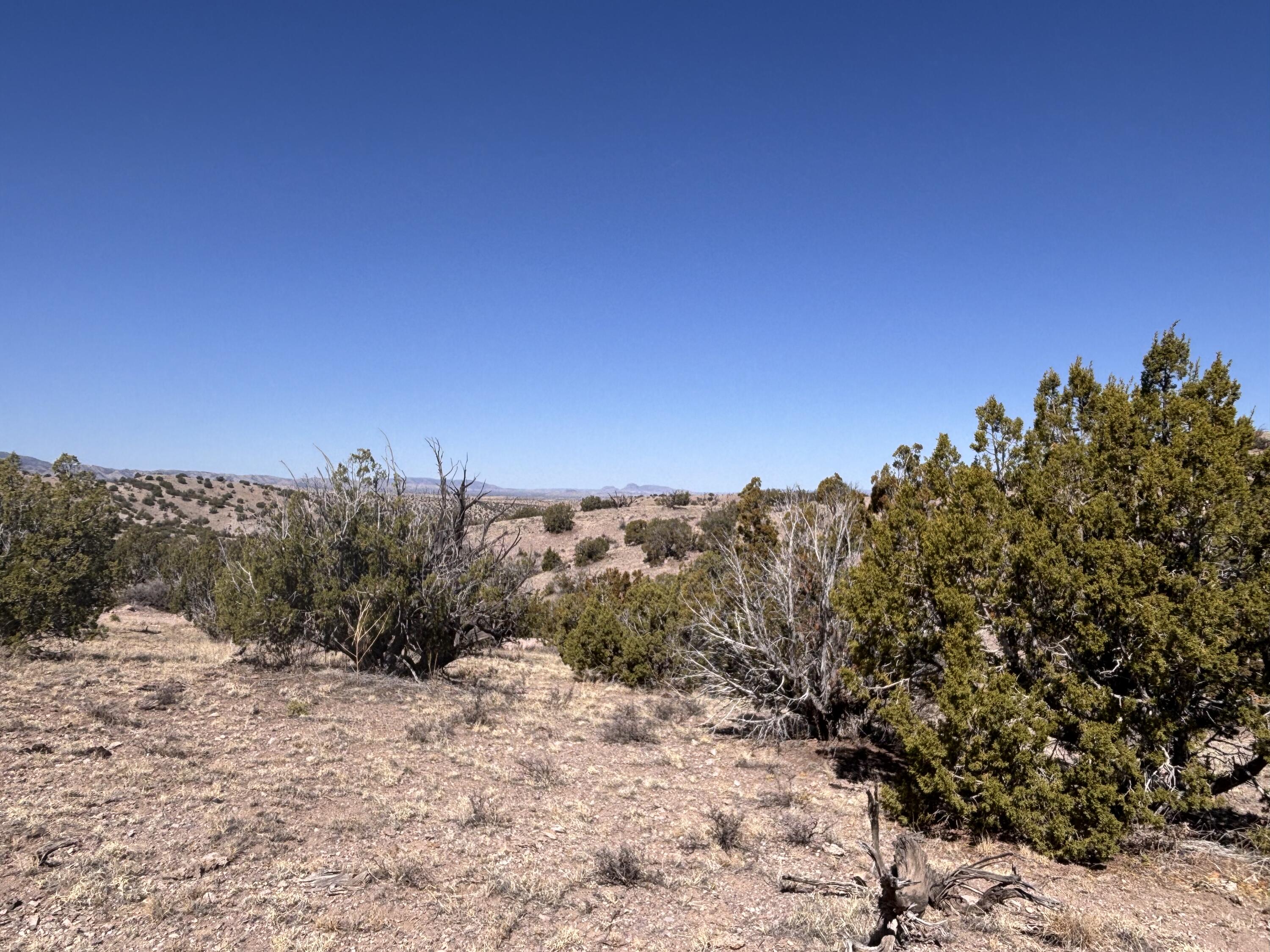 Lot 126 Abbe Springs
