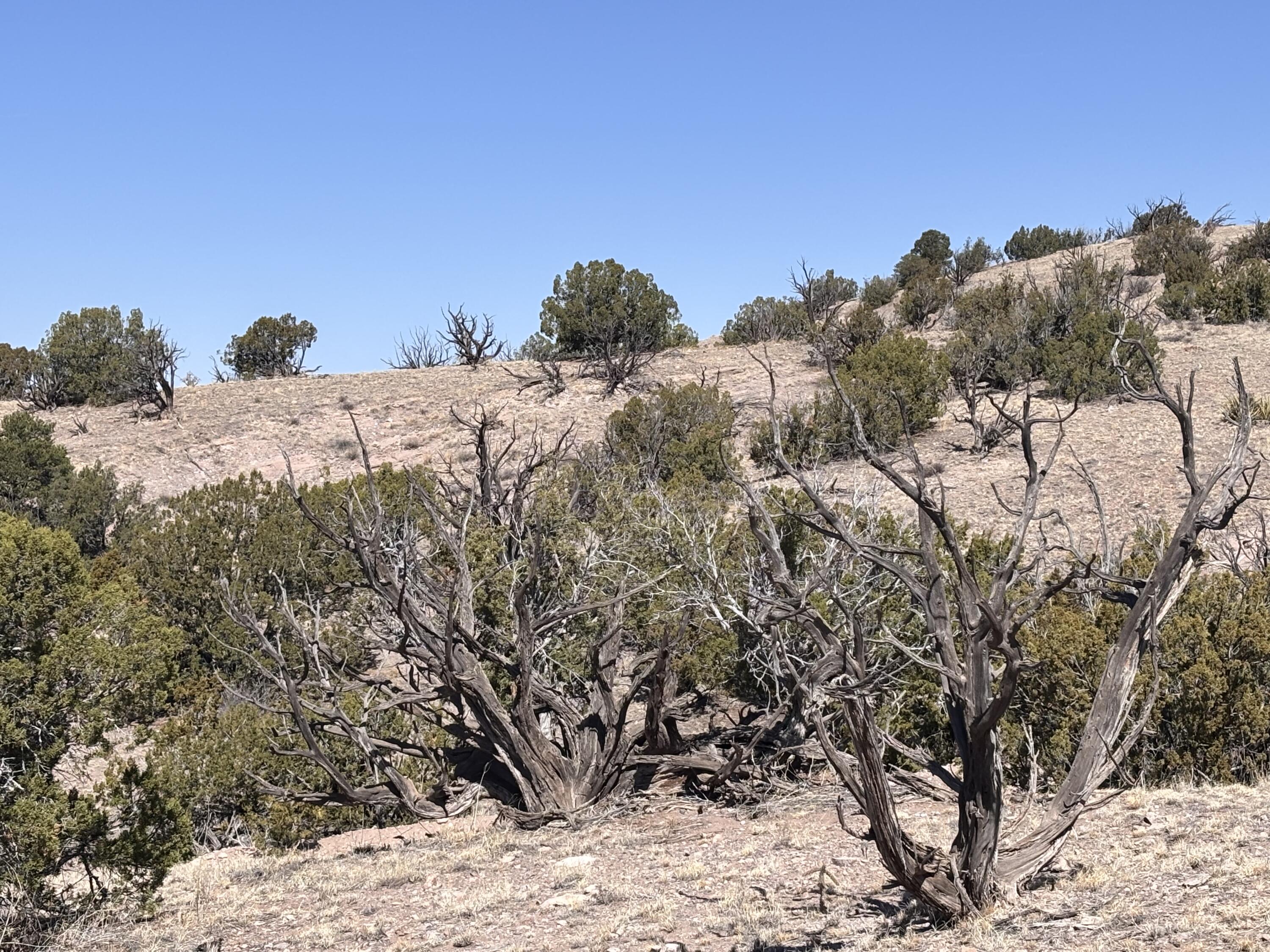 Lot 126 Abbe Springs