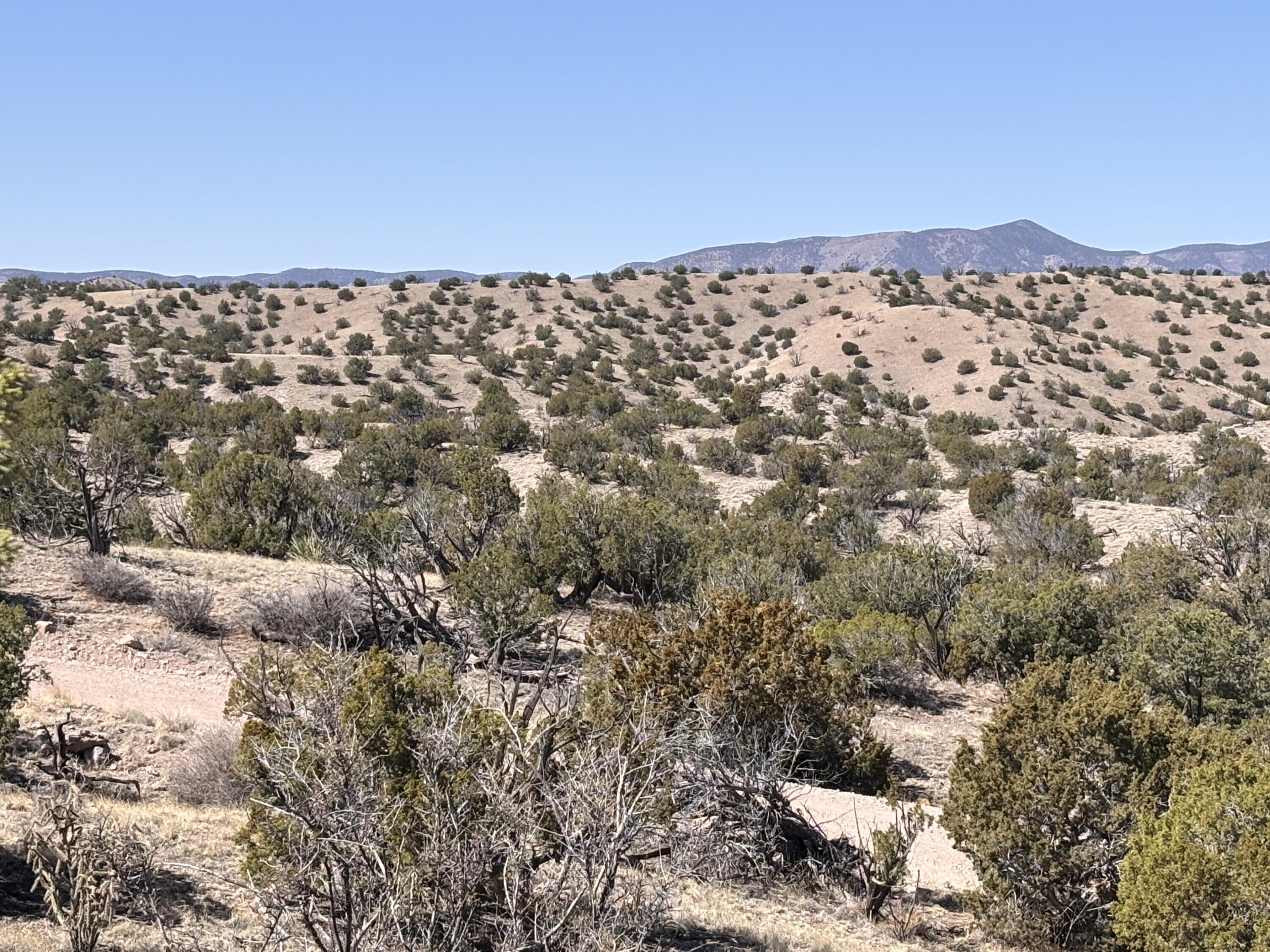 Lot 126 Abbe Springs