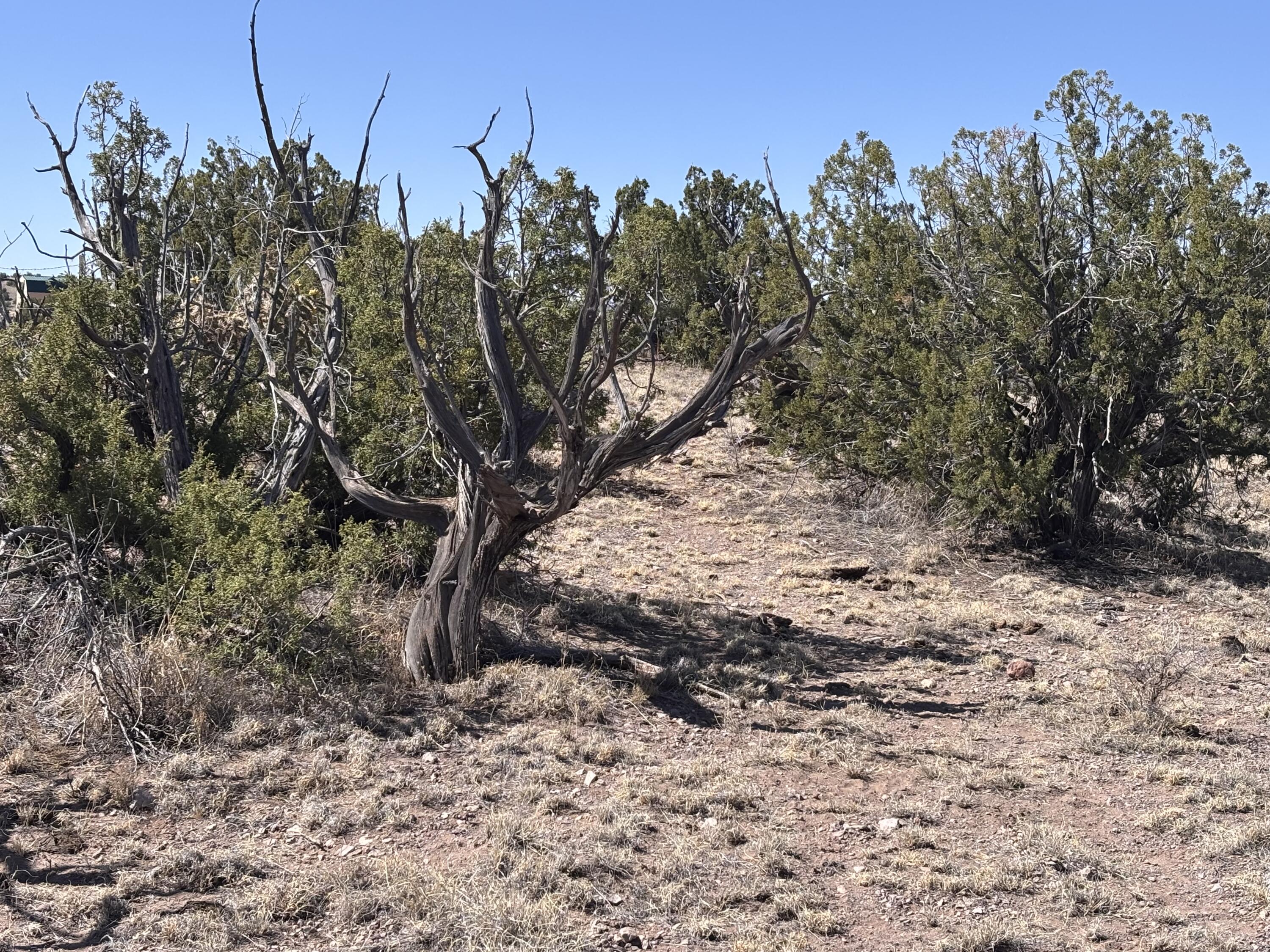 Lot 126 Abbe Springs