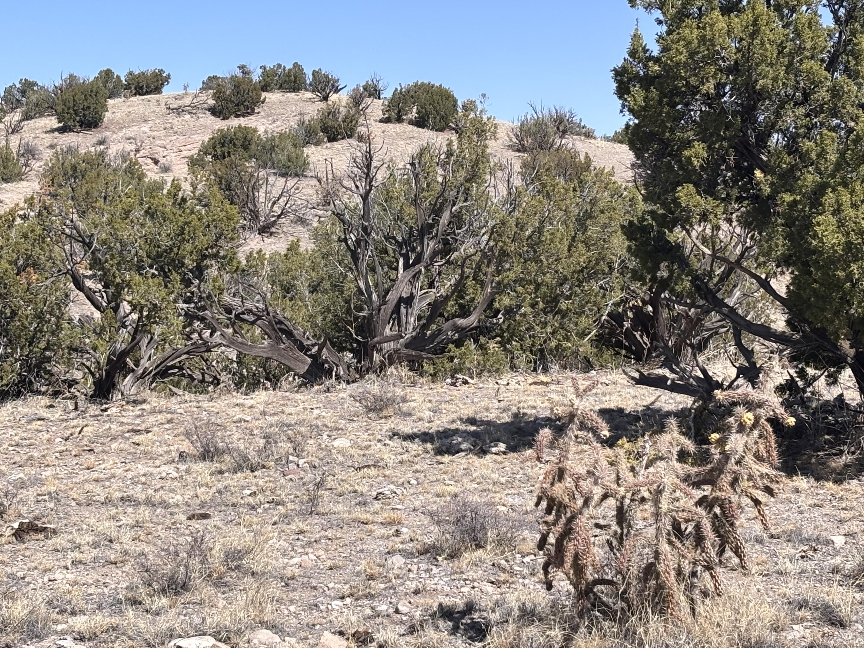 Lot 126 Abbe Springs