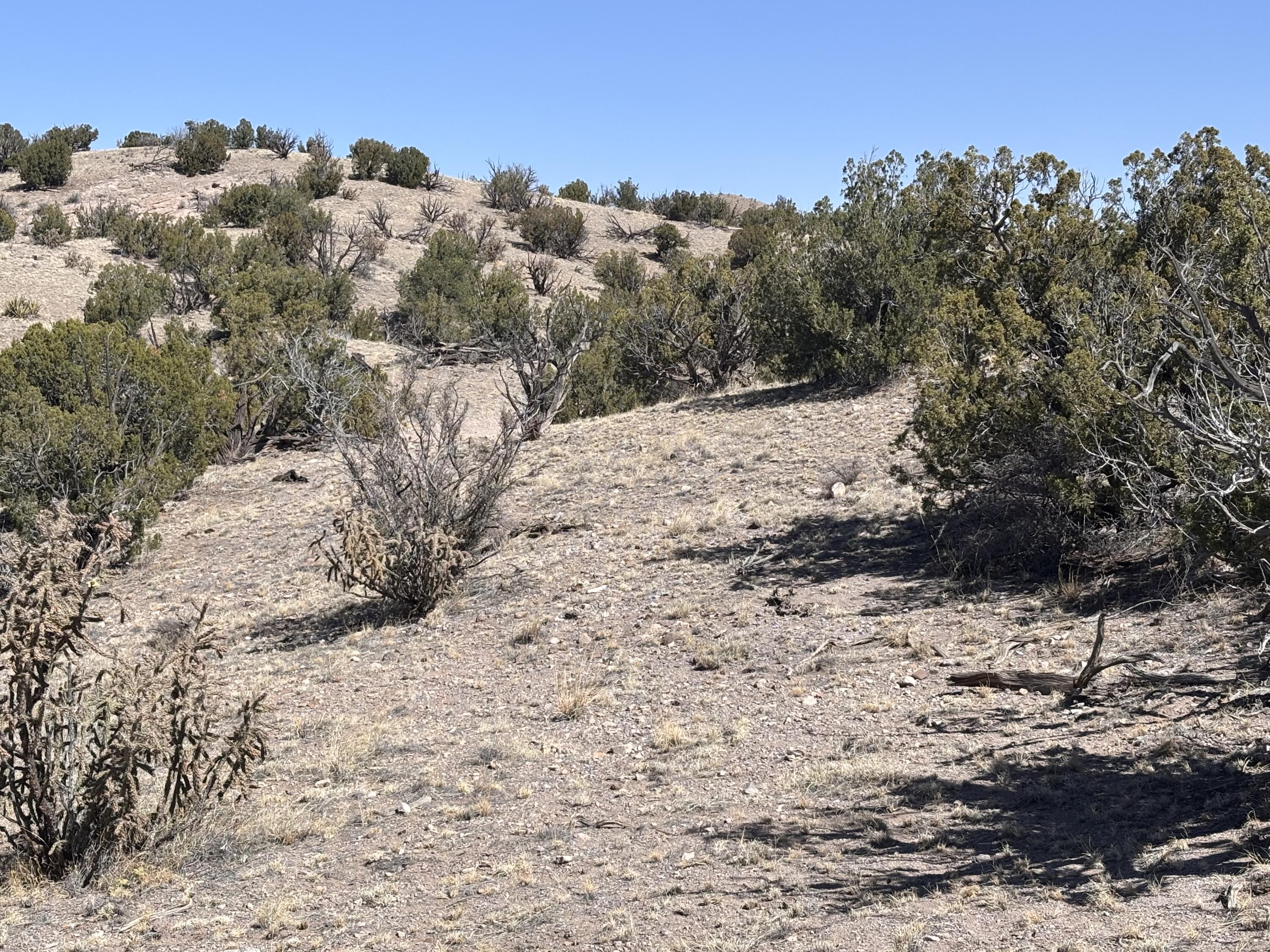 Lot 126 Abbe Springs