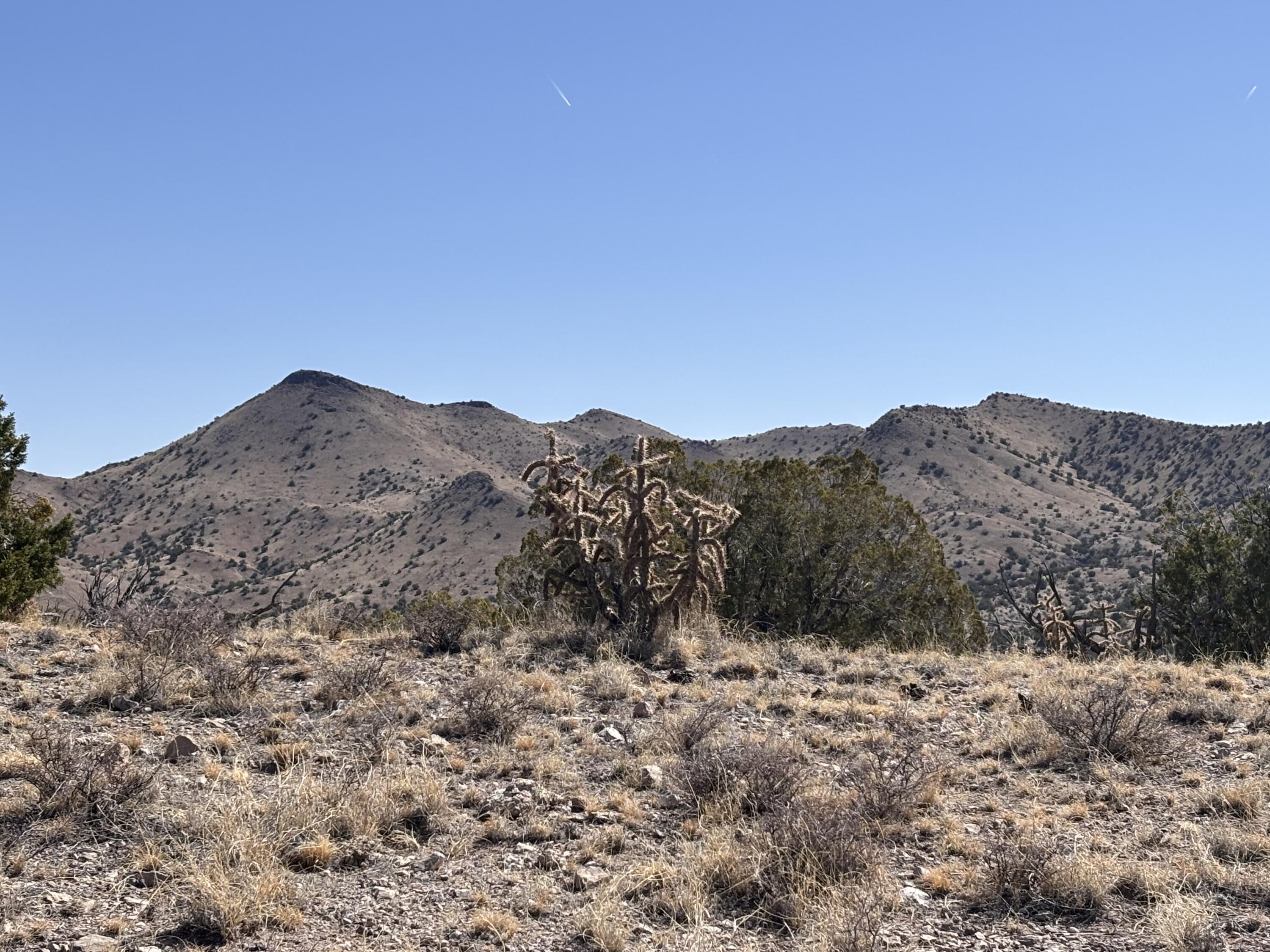 Lot 126 Abbe Springs