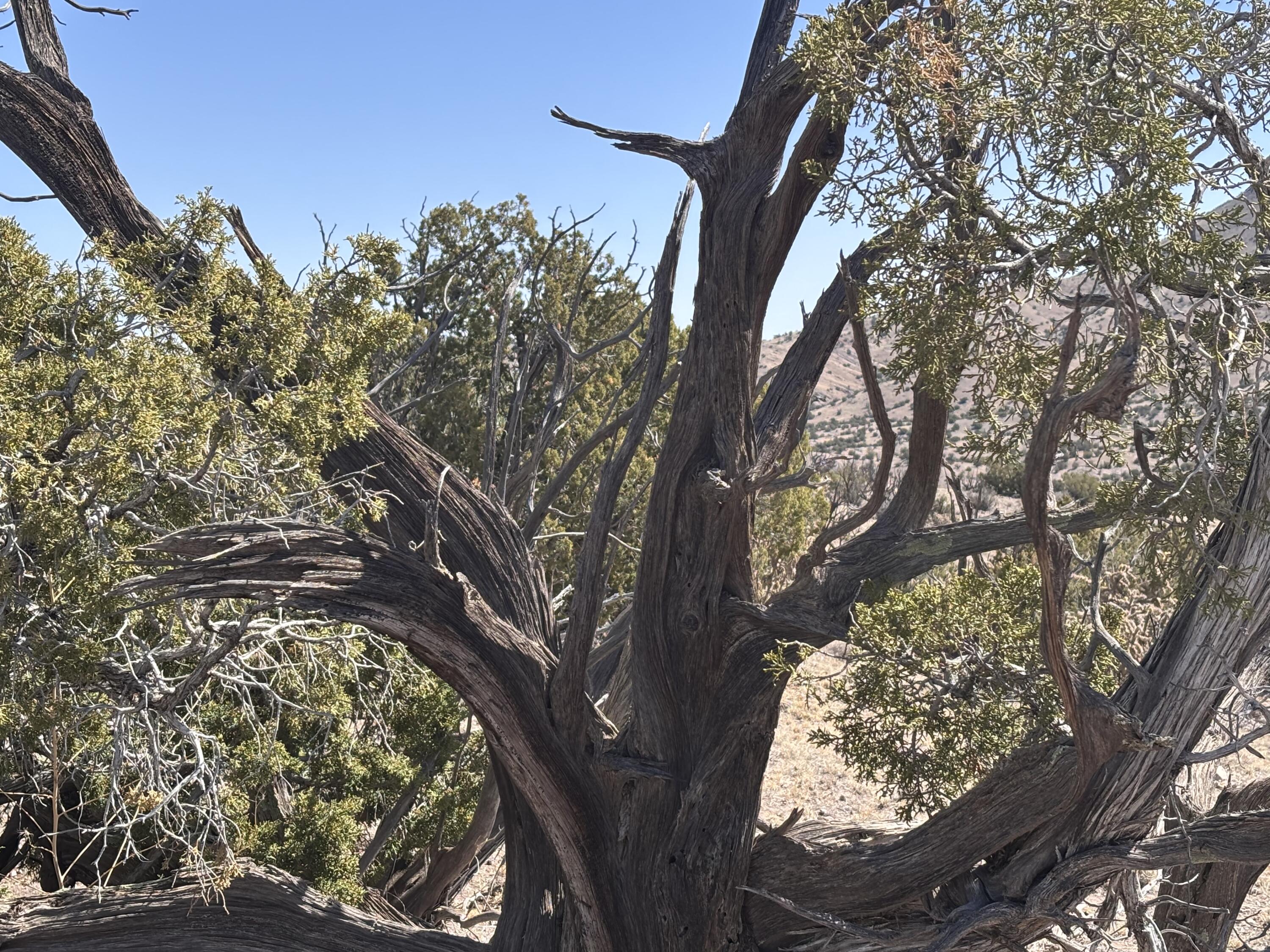 Lot 126 Abbe Springs