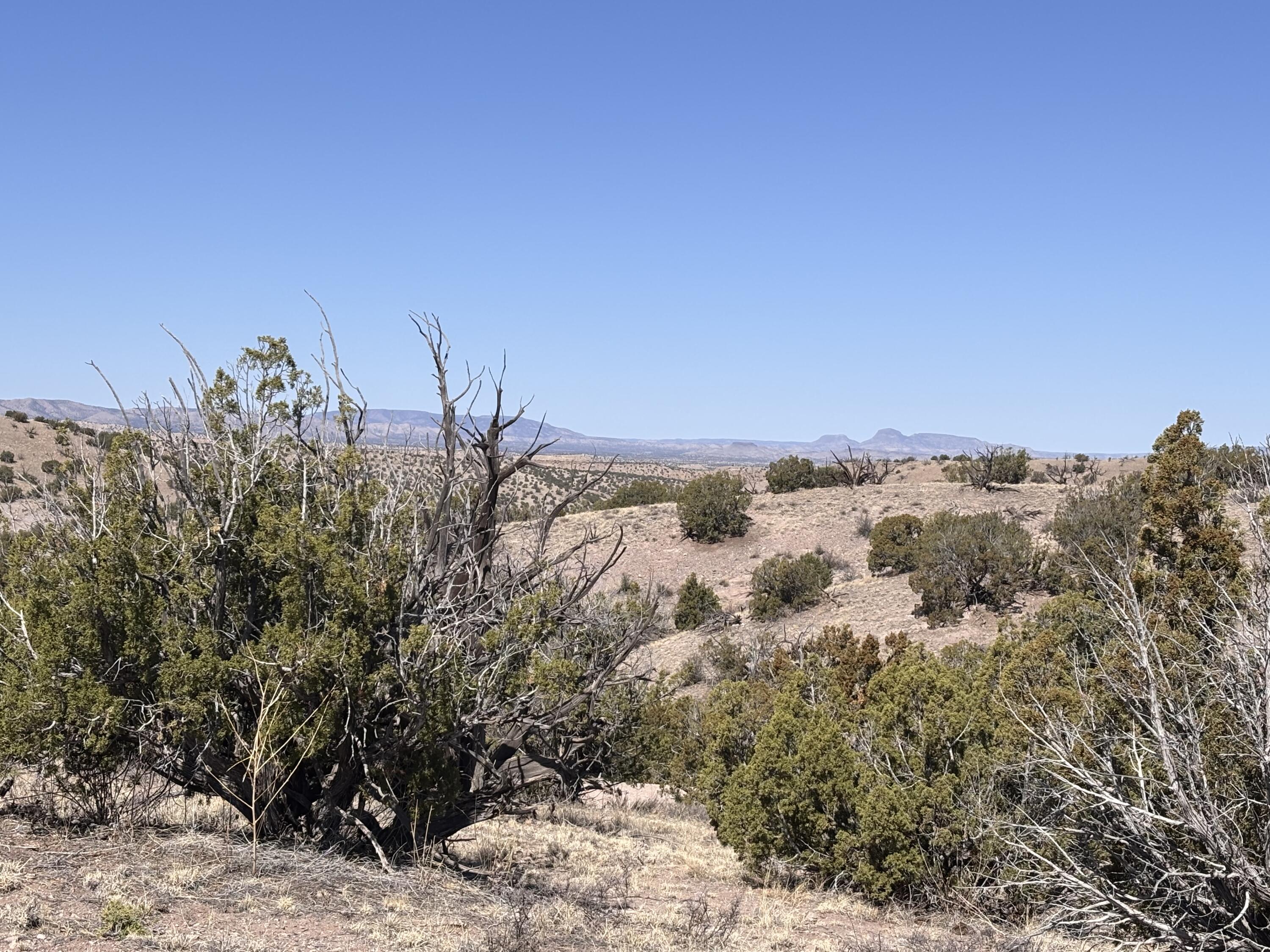Lot 126 Abbe Springs
