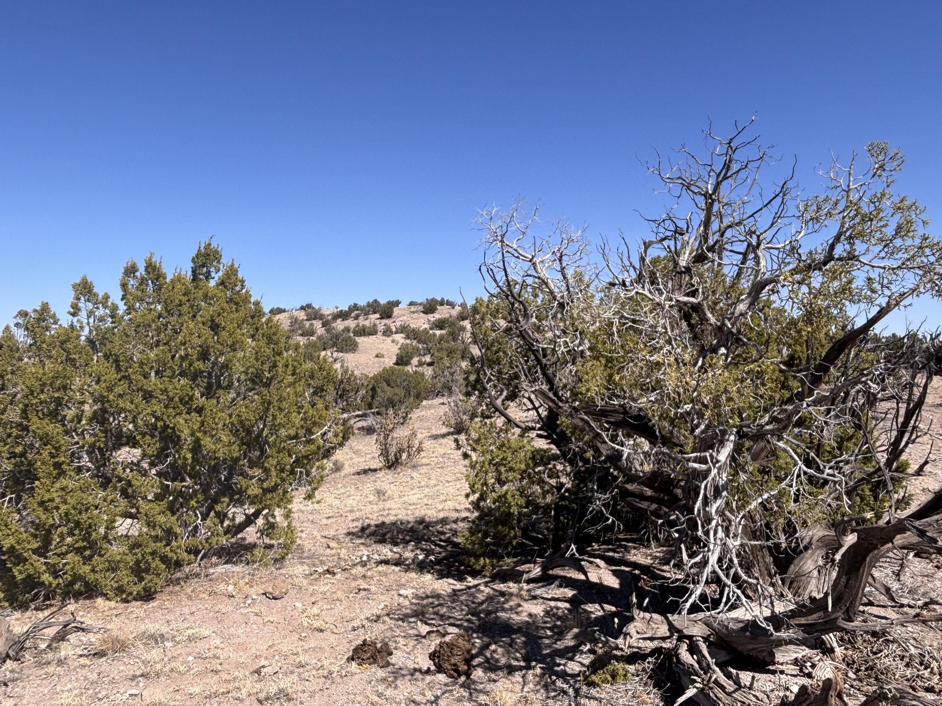 Lot 126 Abbe Springs