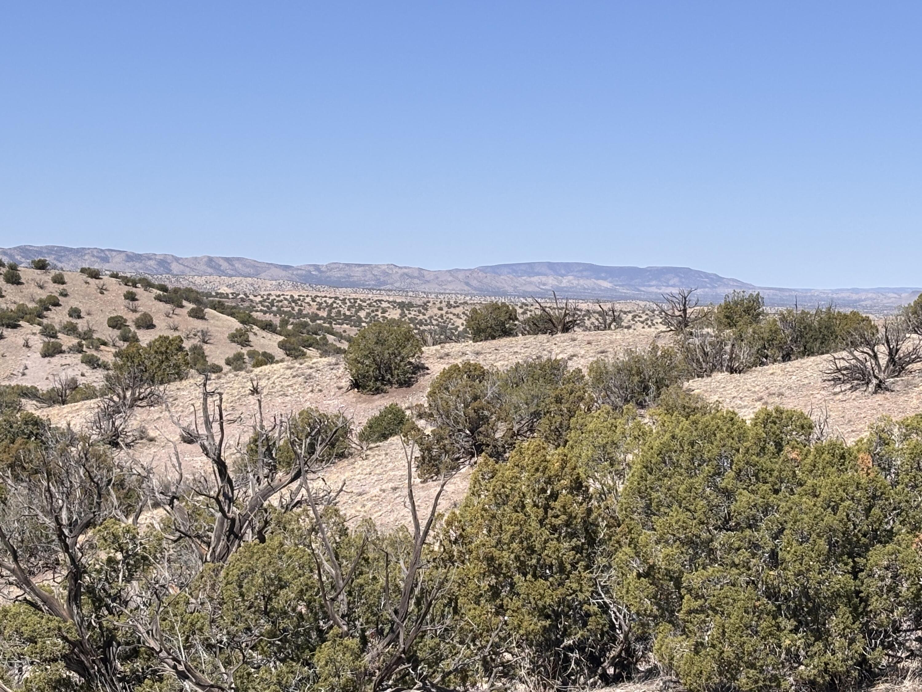Lot 126 Abbe Springs
