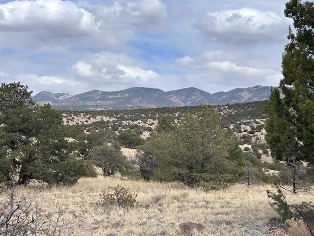 Lot 5 Mountain Ranch