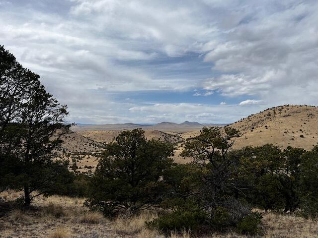 Lot 5 Mountain Ranch