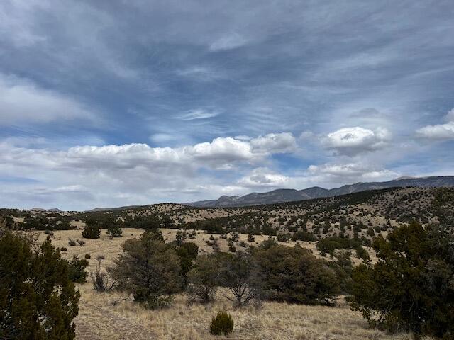 Lot 5 Mountain Ranch