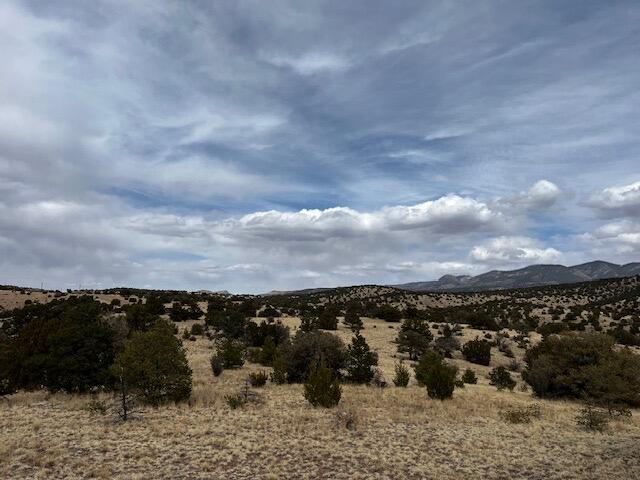 Lot 5 Mountain Ranch