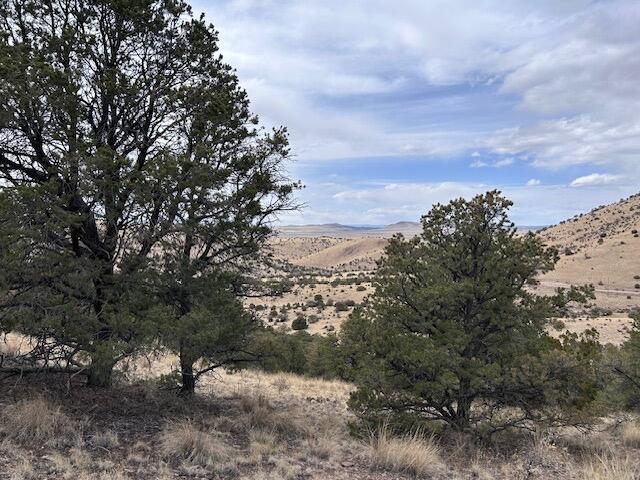 Lot 5 Mountain Ranch