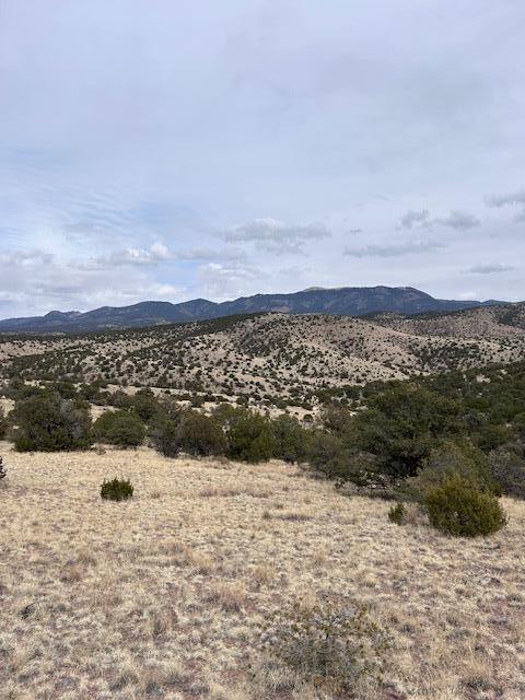 Lot 5 Mountain Ranch
