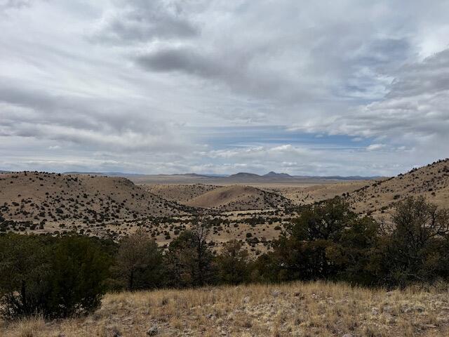 Lot 5 Mountain Ranch